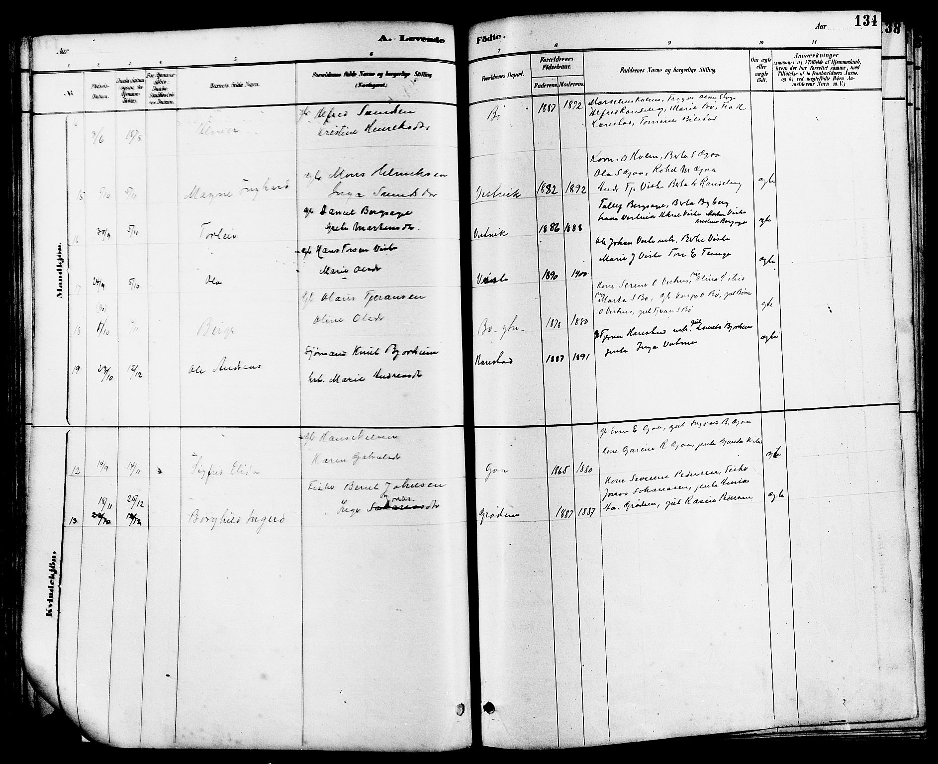 Hetland sokneprestkontor, AV/SAST-A-101826/30/30BB/L0006: Parish register (copy) no. B 6, 1878-1921, p. 134