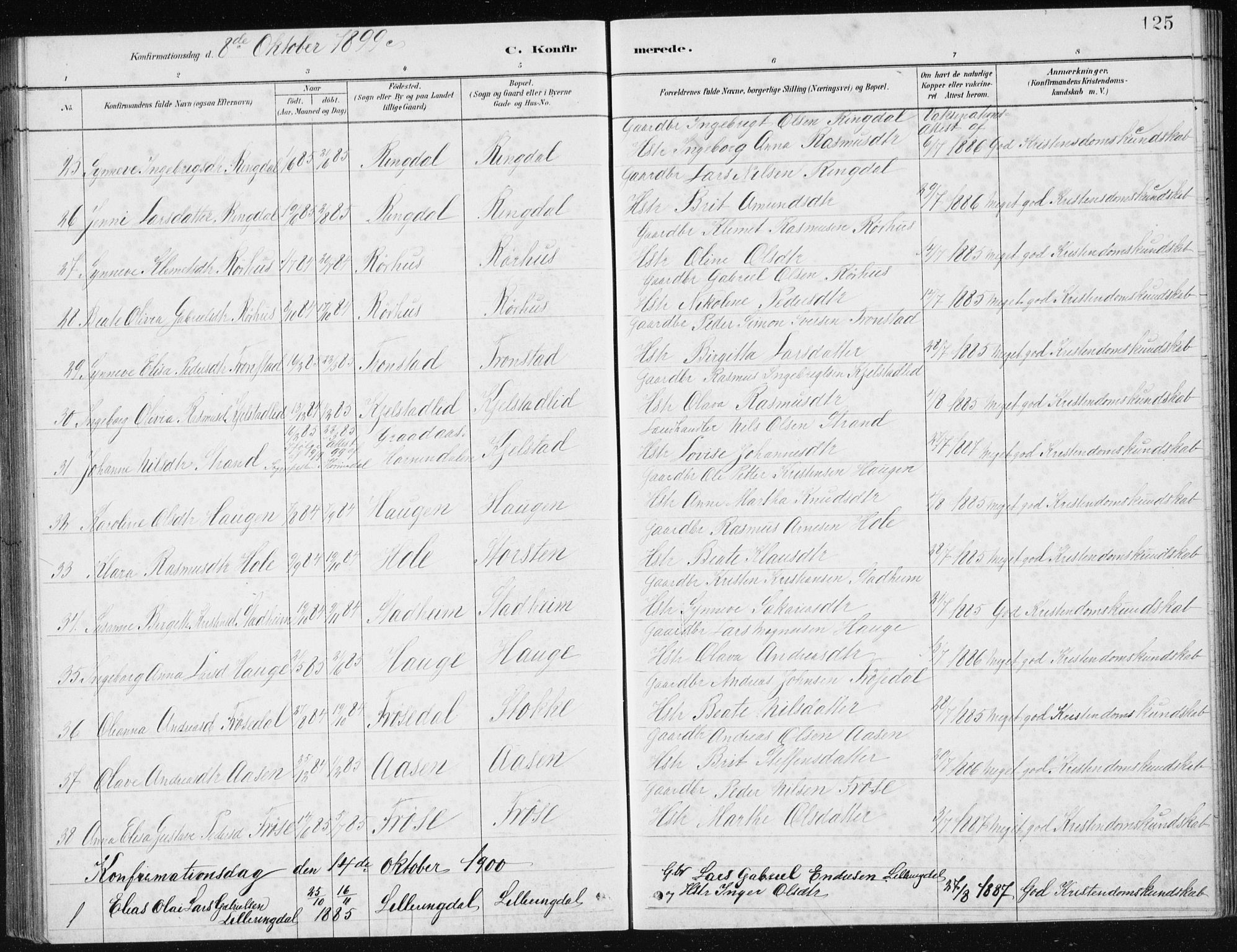 Ministerialprotokoller, klokkerbøker og fødselsregistre - Møre og Romsdal, AV/SAT-A-1454/517/L0230: Parish register (copy) no. 517C03, 1879-1912, p. 125
