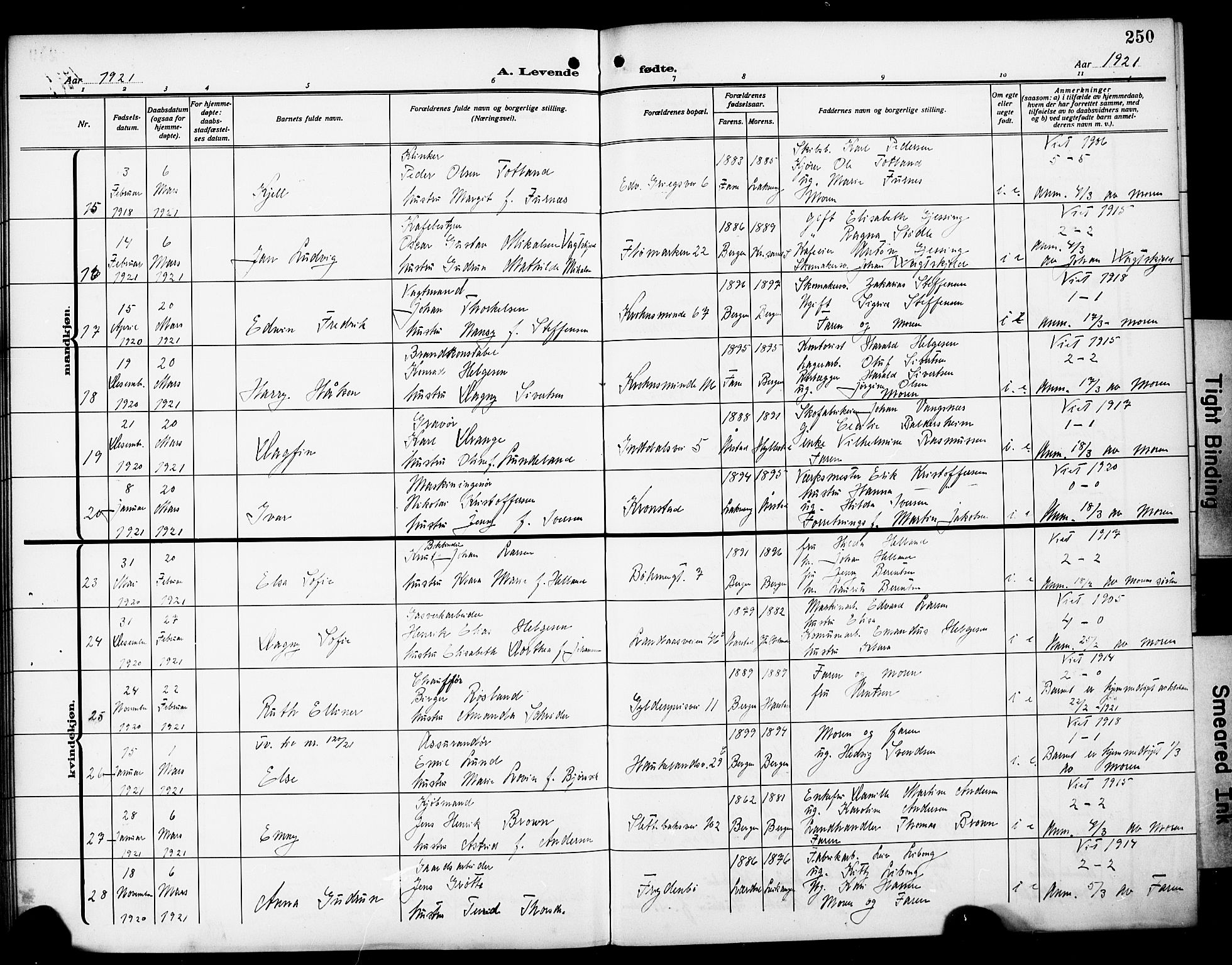 Årstad Sokneprestembete, AV/SAB-A-79301/H/Hab/L0003: Parish register (copy) no. A 3, 1912-1921, p. 250