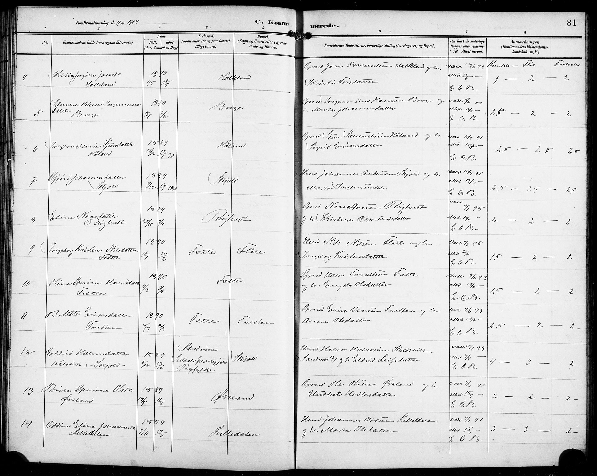 Etne sokneprestembete, SAB/A-75001/H/Hab: Parish register (copy) no. C 5, 1896-1920, p. 81