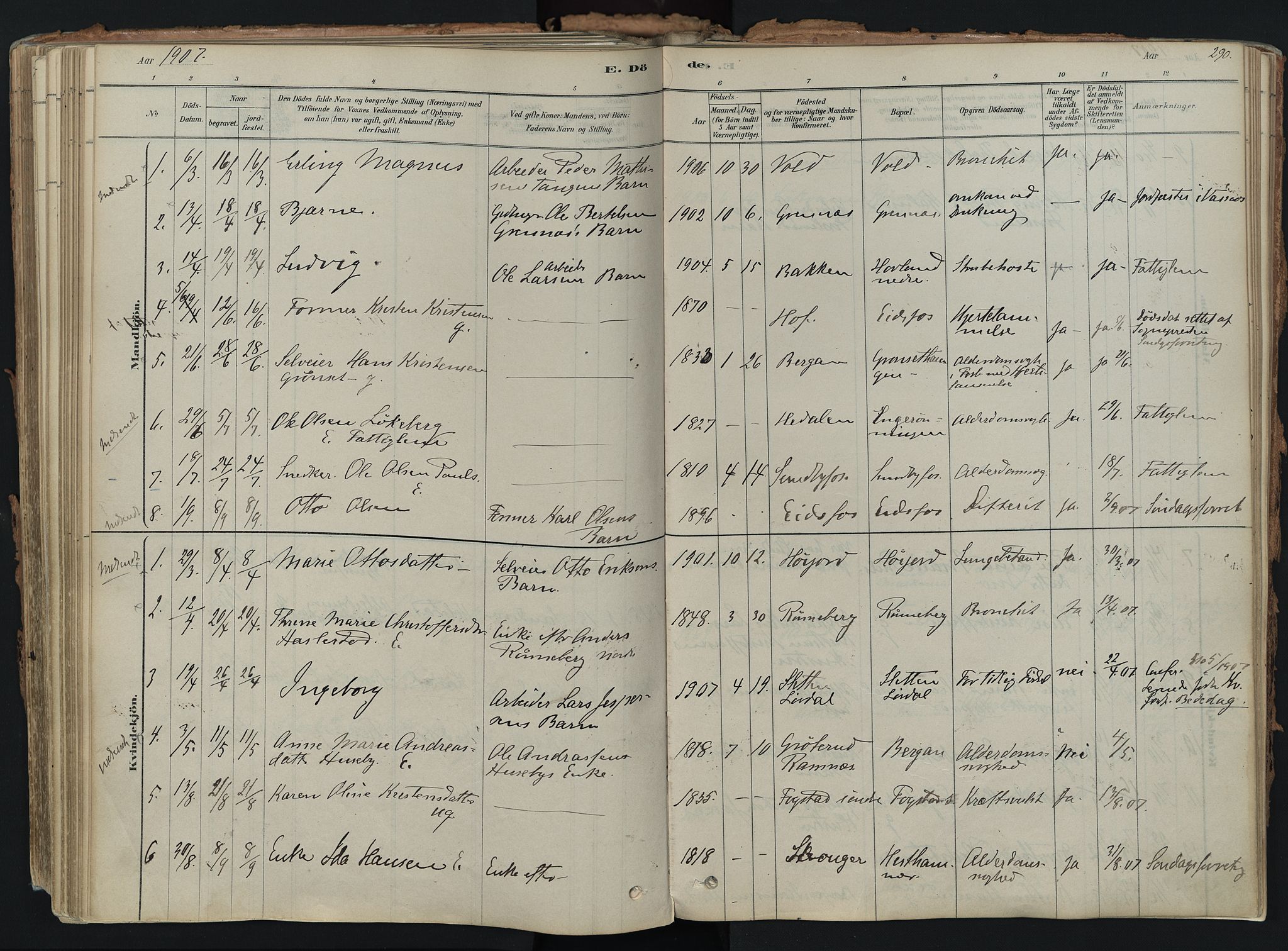 Hof kirkebøker, AV/SAKO-A-64/F/Fa/L0007: Parish register (official) no. I 7, 1878-1940, p. 290