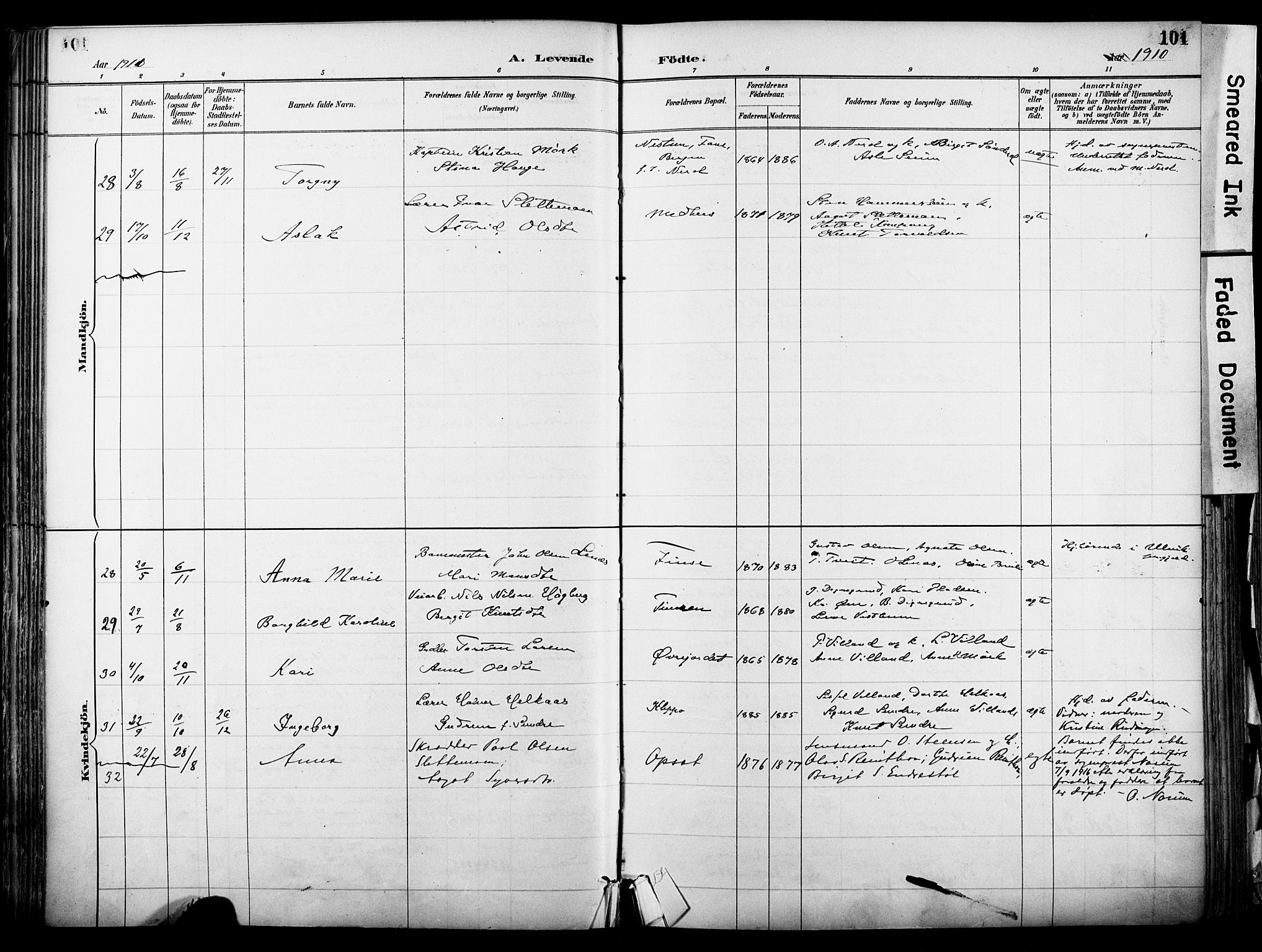 Hol kirkebøker, AV/SAKO-A-227/F/Fa/L0003: Parish register (official) no. I 3, 1887-1918, p. 101