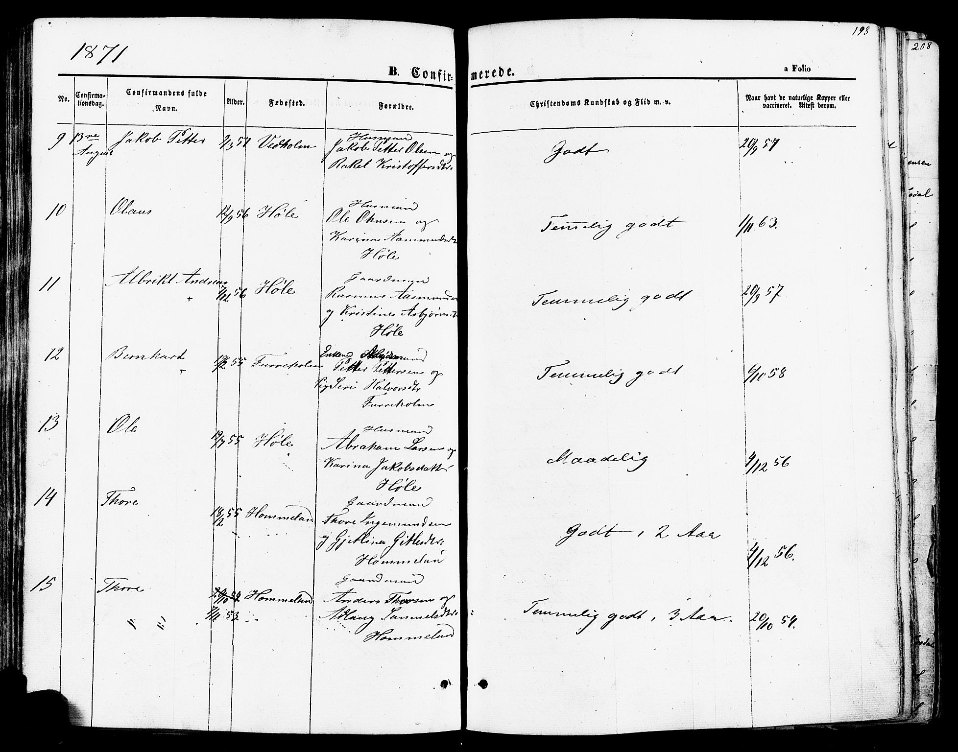 Høgsfjord sokneprestkontor, SAST/A-101624/H/Ha/Haa/L0002: Parish register (official) no. A 2, 1855-1885, p. 193