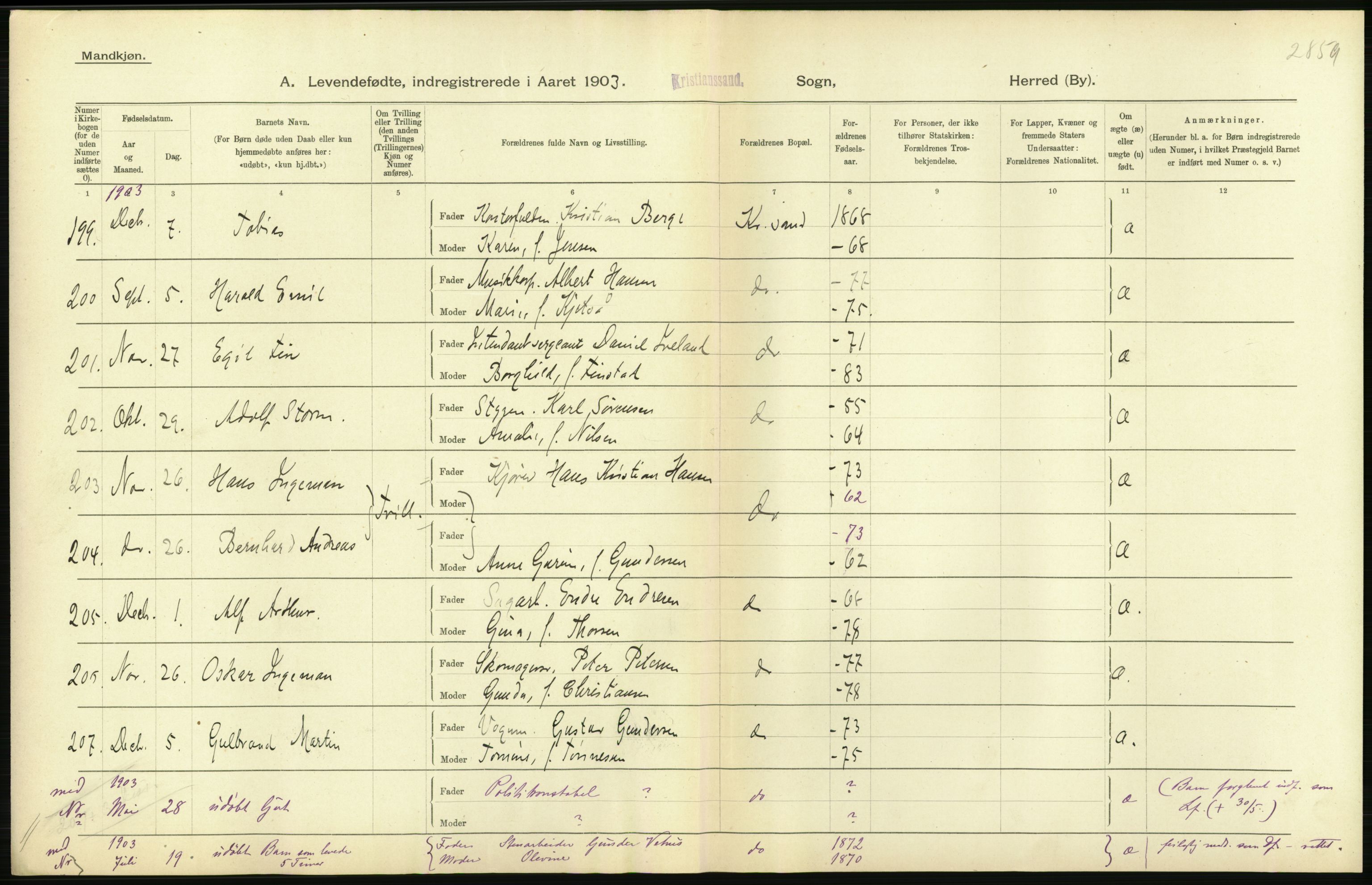 Statistisk sentralbyrå, Sosiodemografiske emner, Befolkning, AV/RA-S-2228/D/Df/Dfa/Dfaa/L0011: Lister og Mandal amt: Fødte, gifte, døde, 1903, p. 232