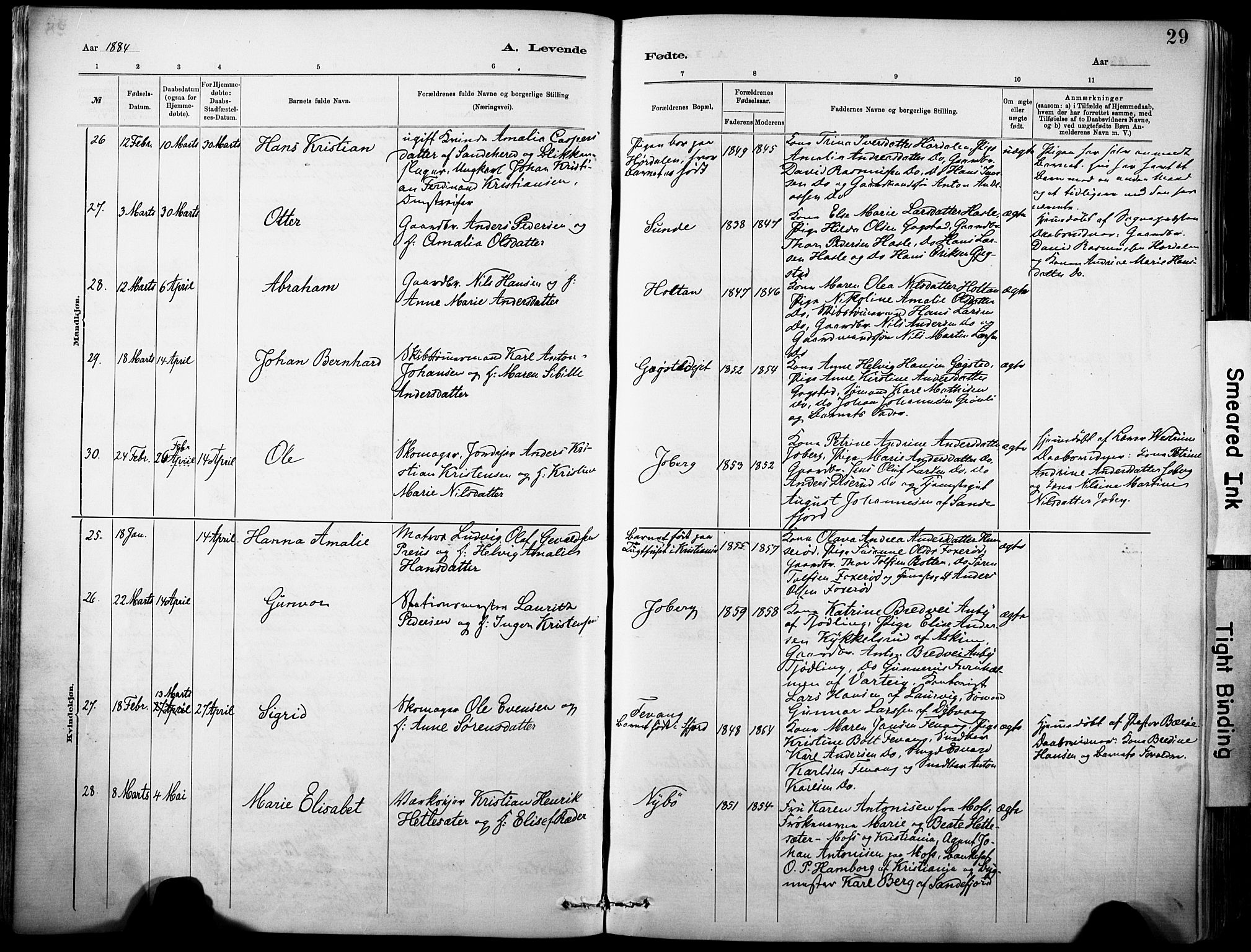 Sandar kirkebøker, AV/SAKO-A-243/F/Fa/L0012: Parish register (official) no. 12, 1883-1895, p. 29