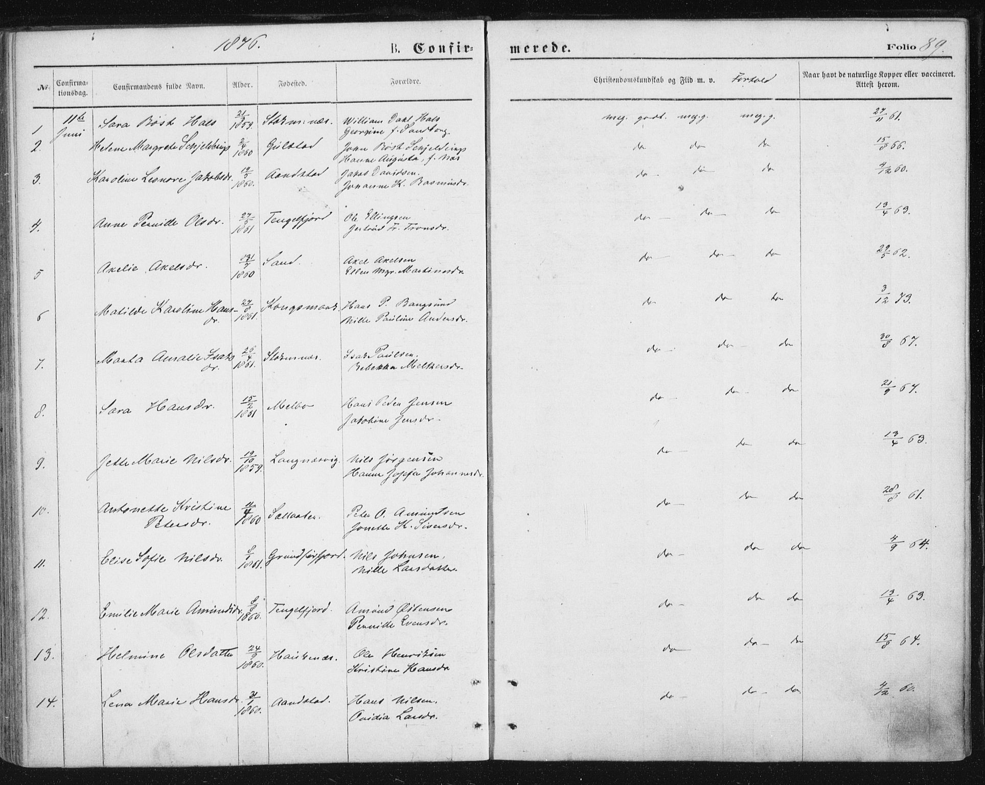 Ministerialprotokoller, klokkerbøker og fødselsregistre - Nordland, AV/SAT-A-1459/888/L1243: Parish register (official) no. 888A09, 1876-1879, p. 89