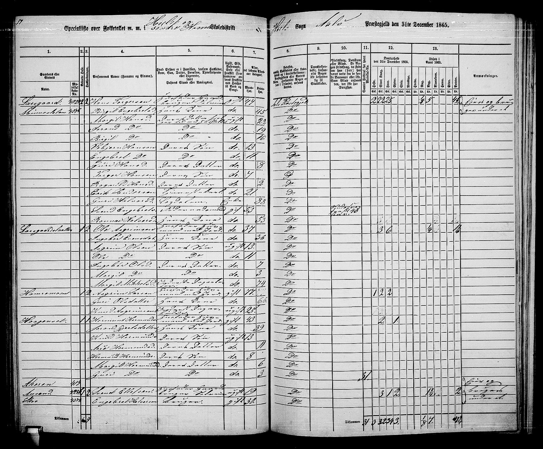 RA, 1865 census for Ål, 1865, p. 200