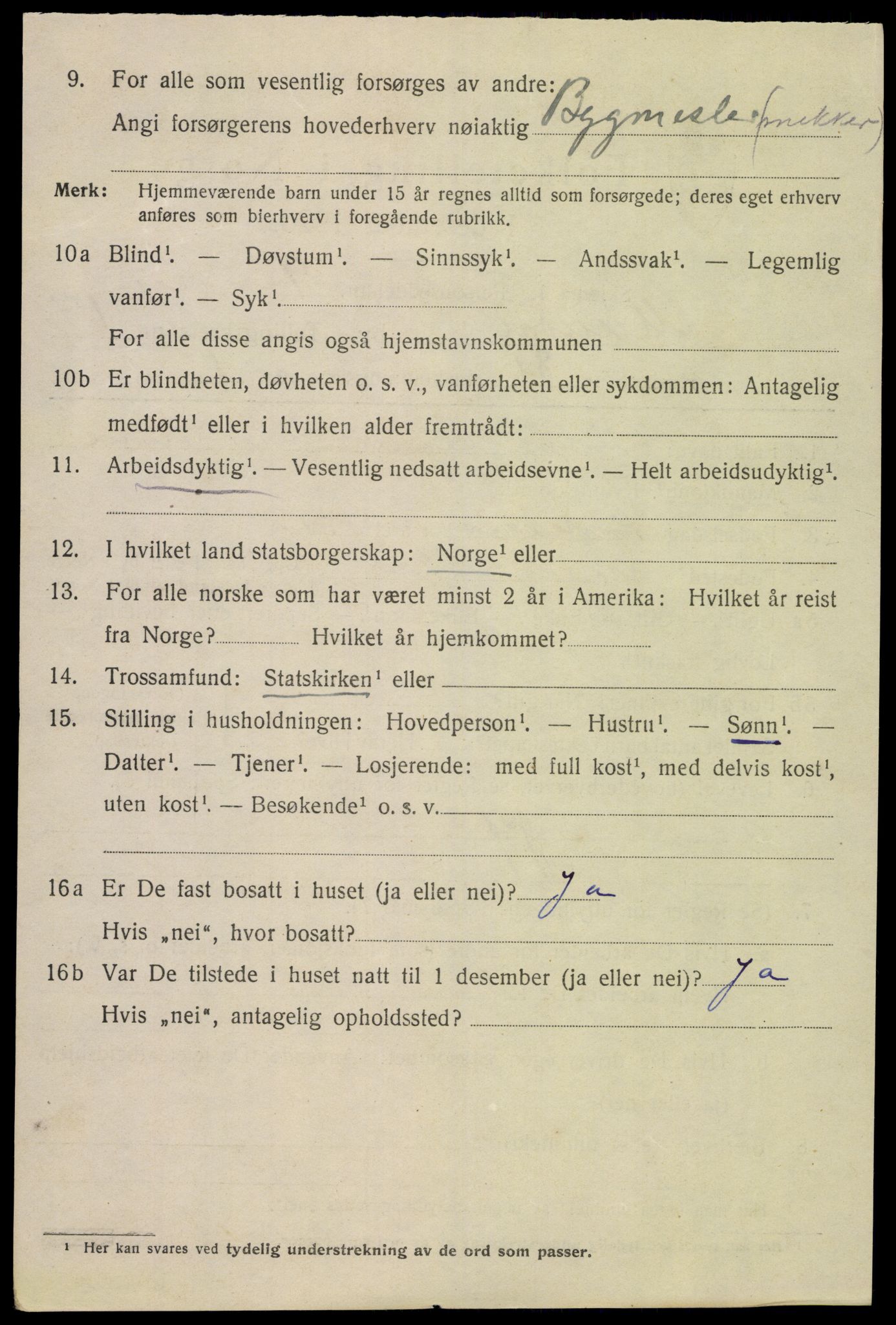 SAK, 1920 census for Mandal, 1920, p. 4084