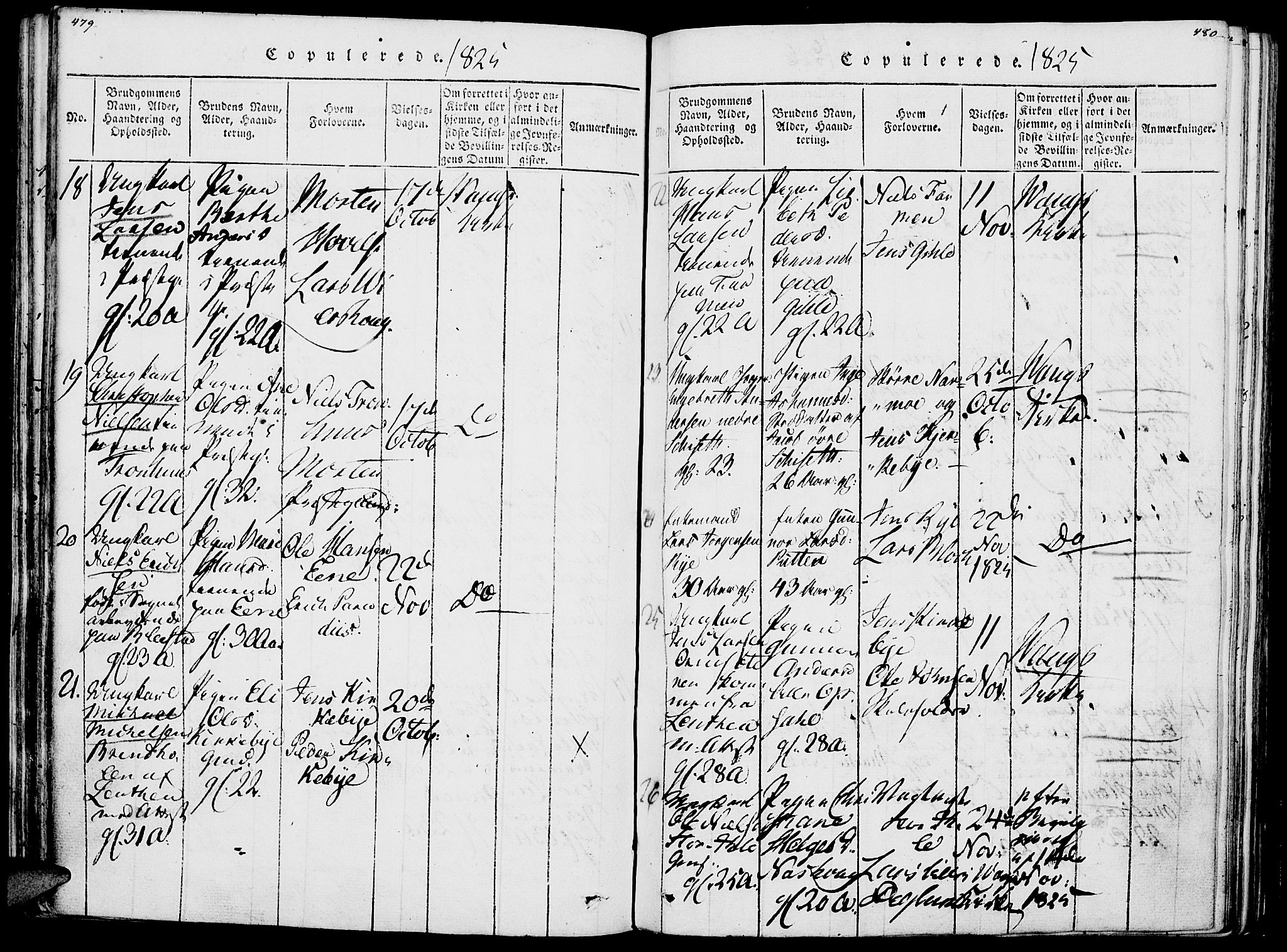 Vang prestekontor, Hedmark, SAH/PREST-008/H/Ha/Haa/L0007: Parish register (official) no. 7, 1813-1826, p. 479-480