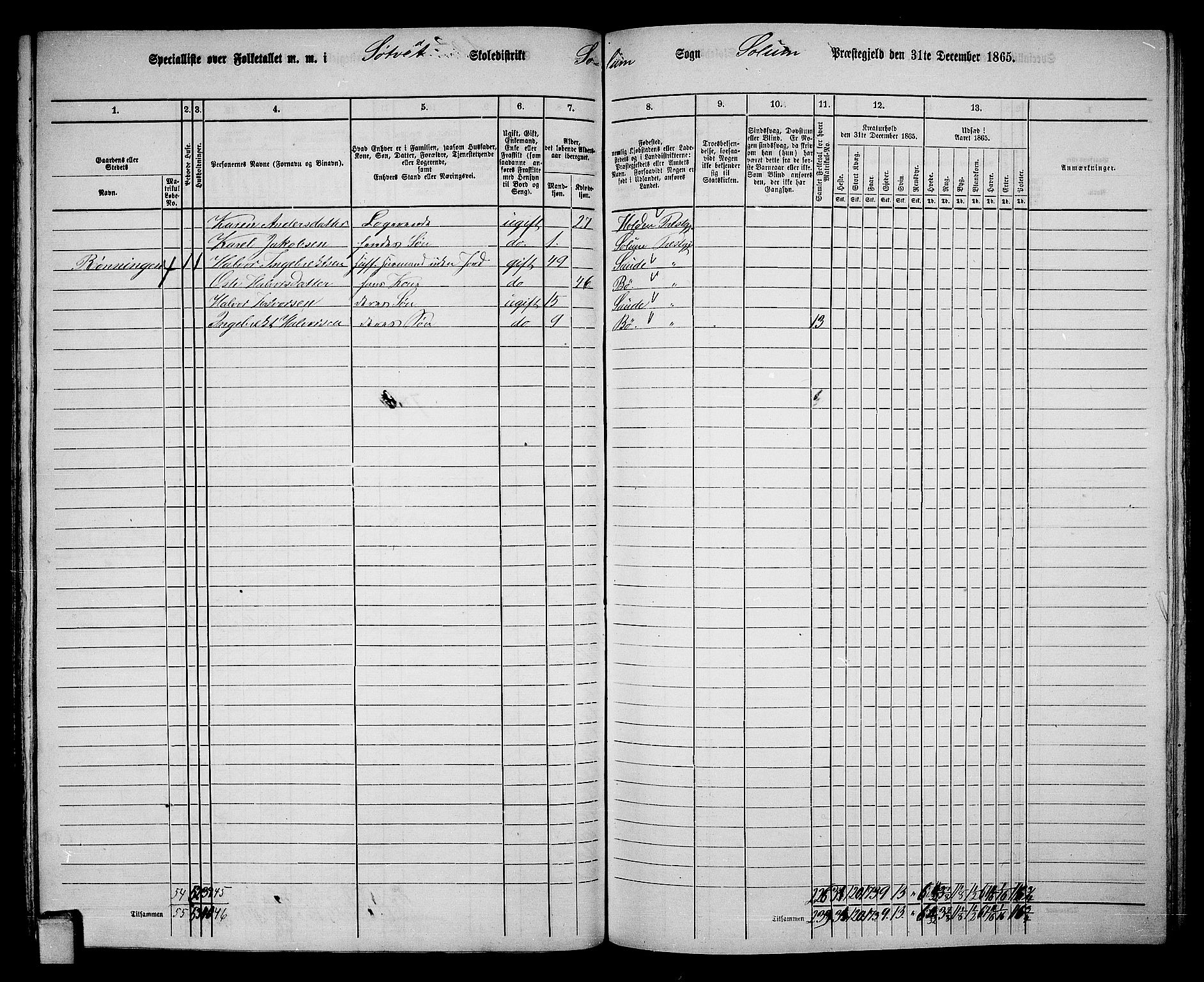 RA, 1865 census for Solum, 1865, p. 124