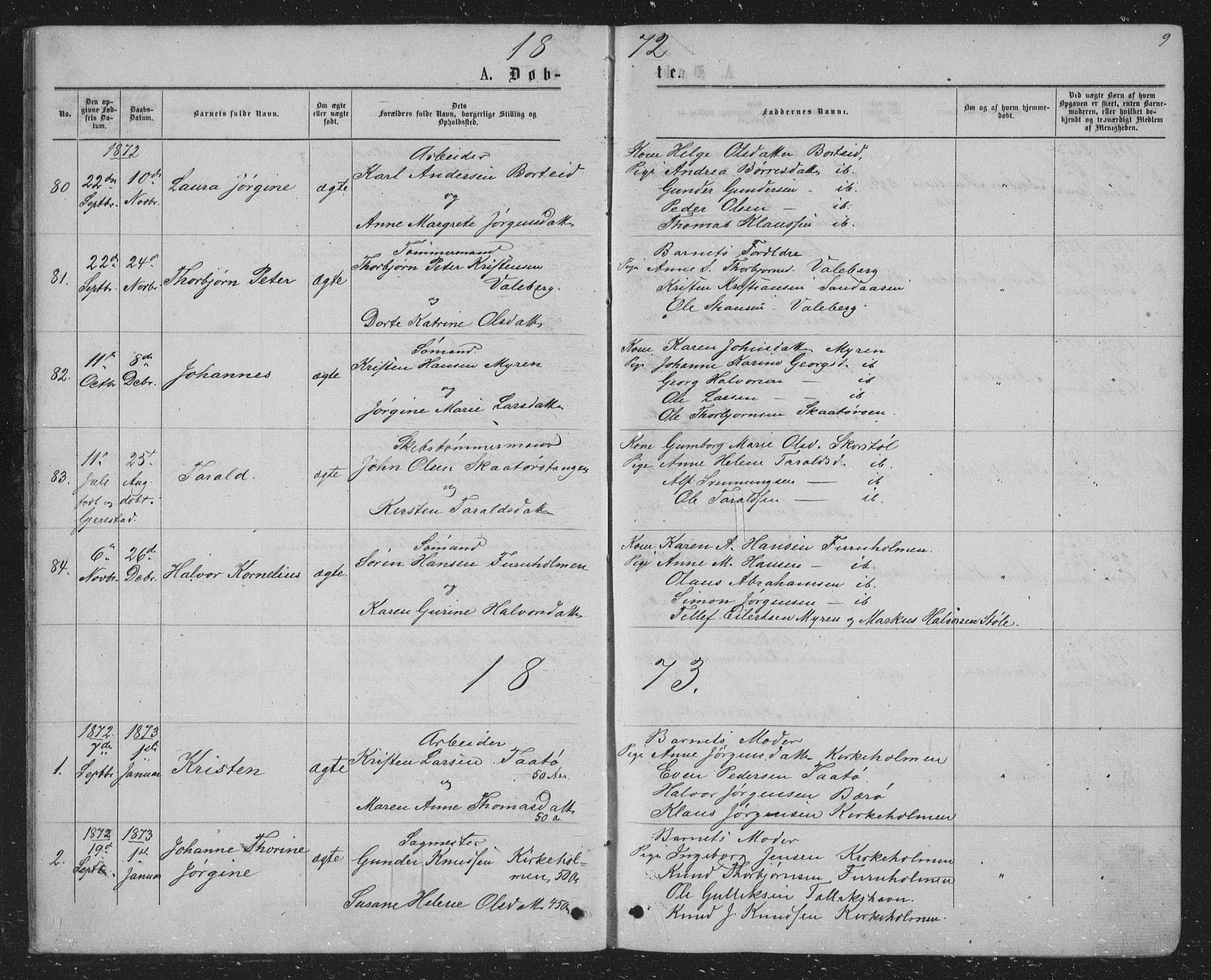 Skåtøy kirkebøker, SAKO/A-304/G/Ga/L0002: Parish register (copy) no. I 2, 1872-1884, p. 9