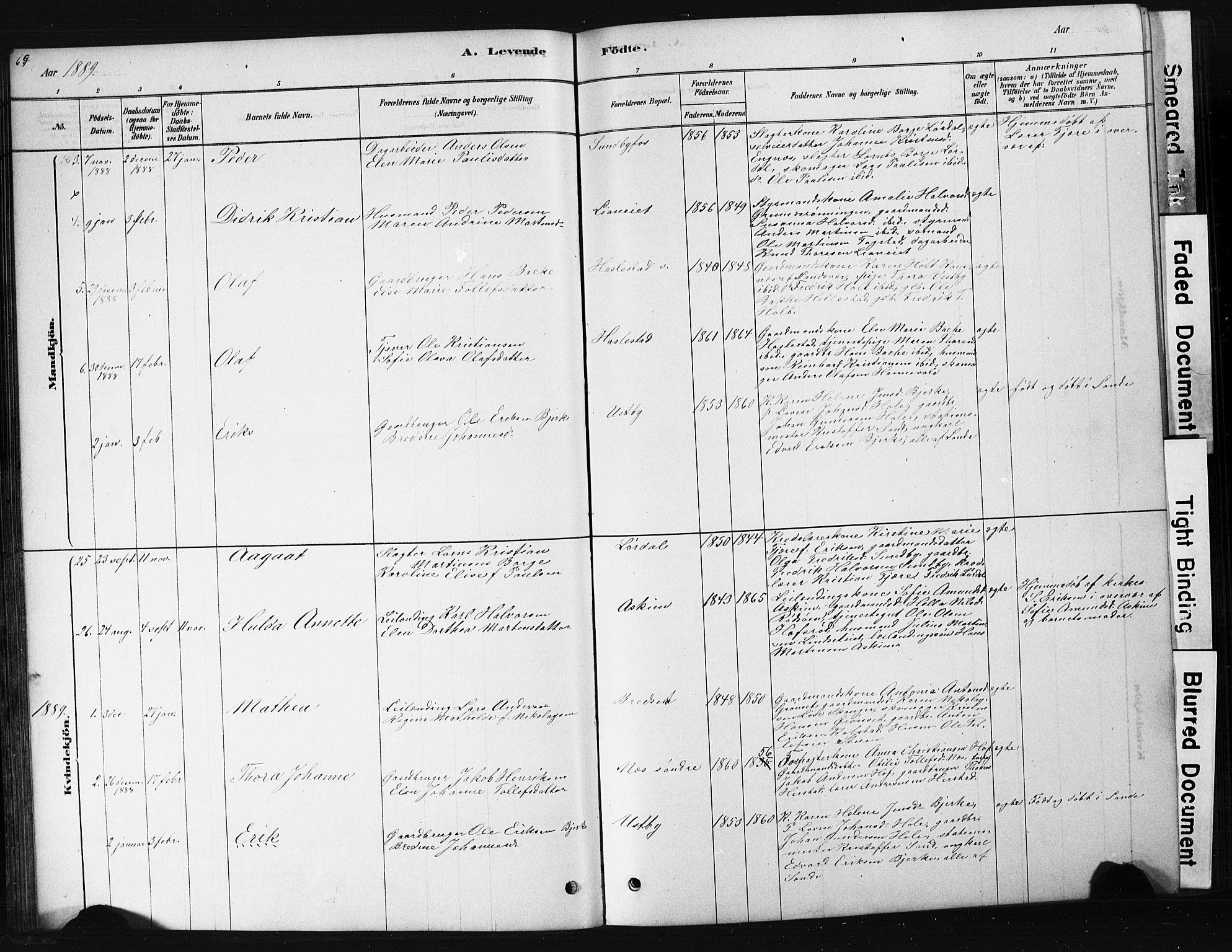 Hof kirkebøker, AV/SAKO-A-64/G/Ga/L0004: Parish register (copy) no. I 4, 1878-1930, p. 65