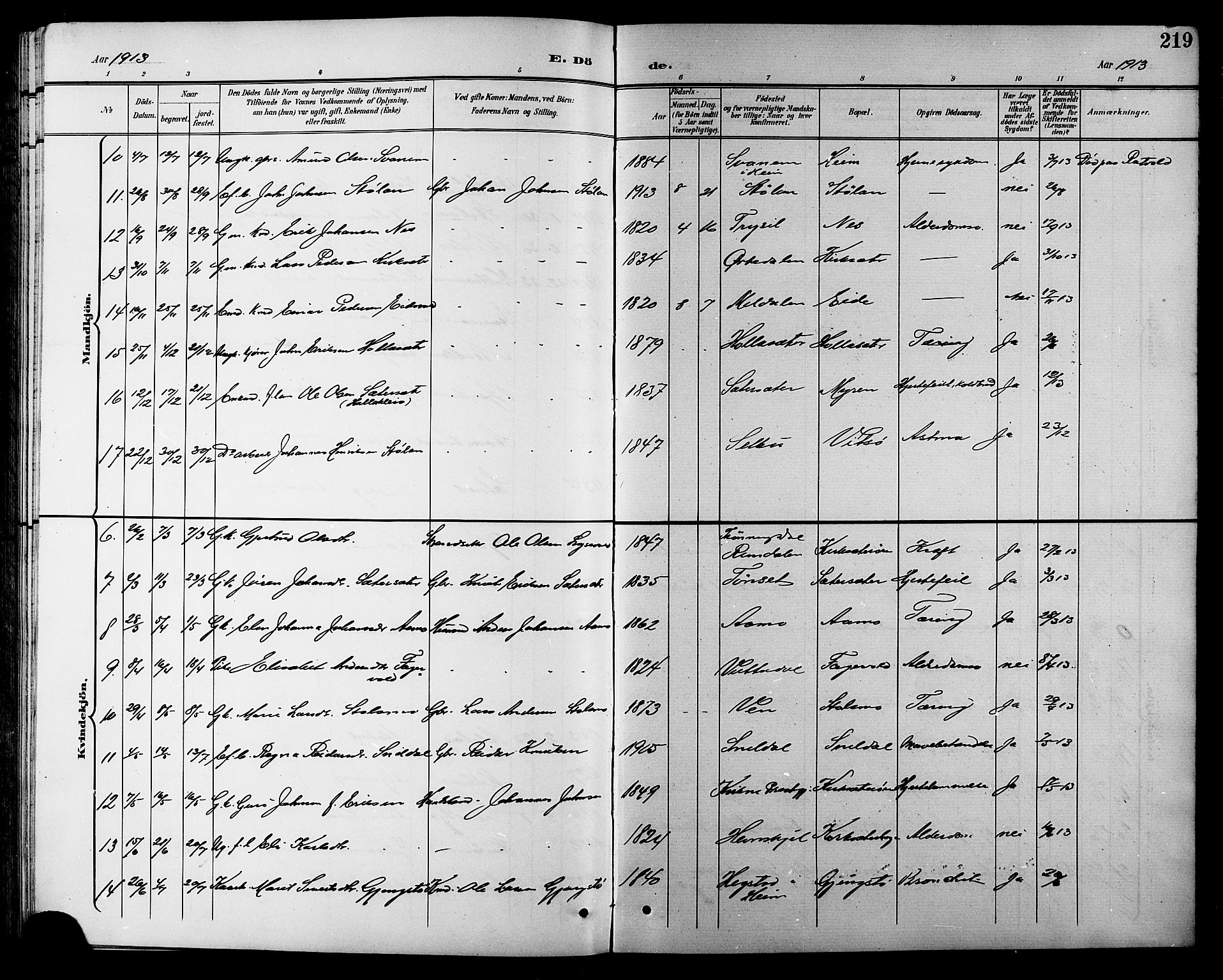 Ministerialprotokoller, klokkerbøker og fødselsregistre - Sør-Trøndelag, SAT/A-1456/630/L0505: Parish register (copy) no. 630C03, 1899-1914, p. 219