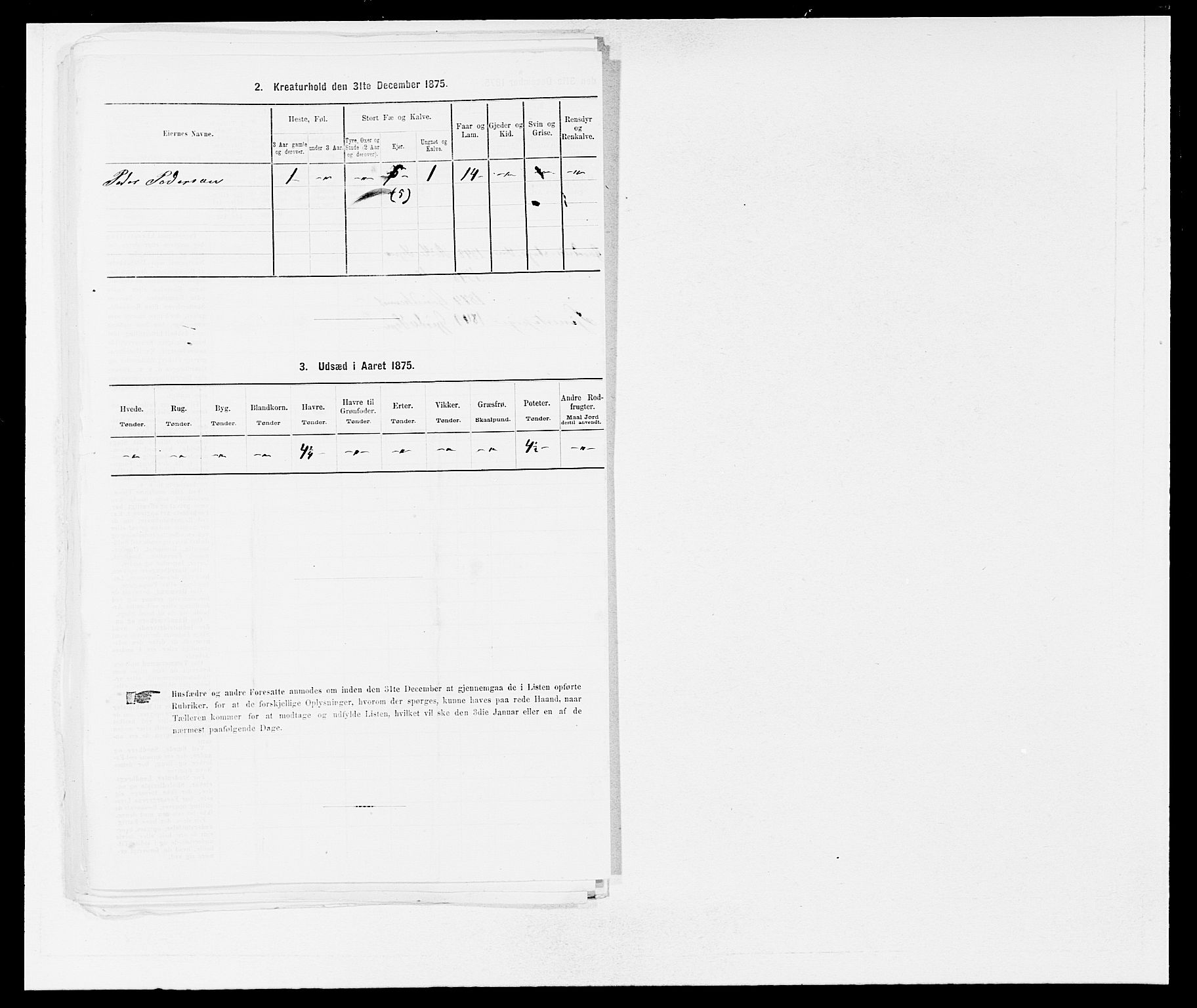 SAB, 1875 census for 1211P Etne, 1875, p. 590