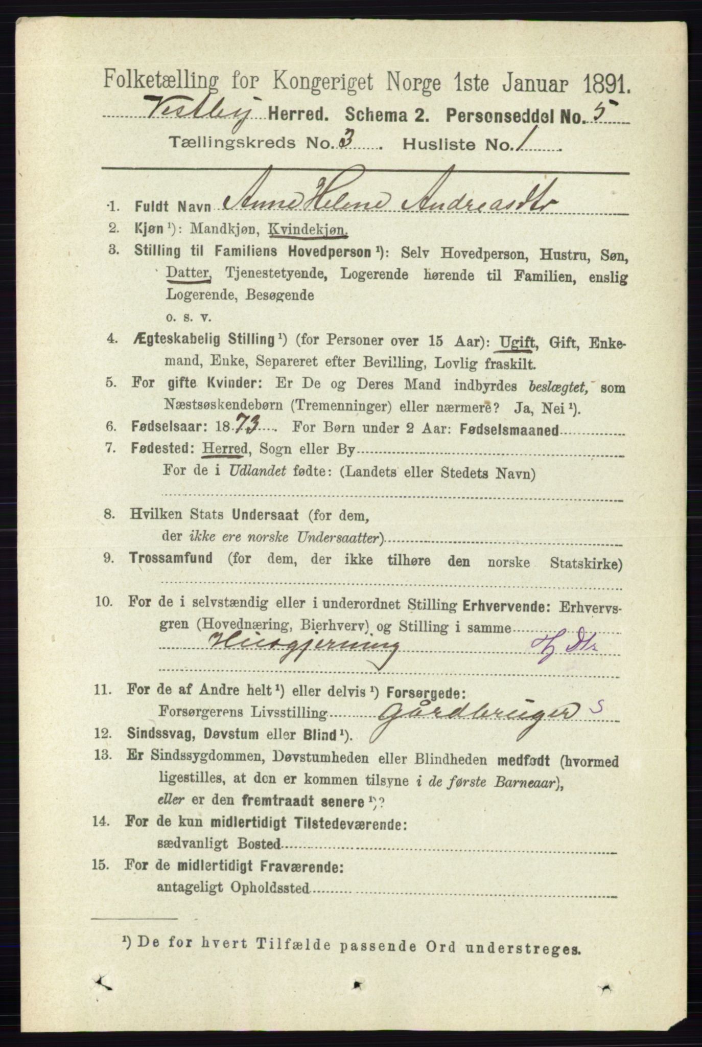 RA, 1891 census for 0211 Vestby, 1891, p. 1035