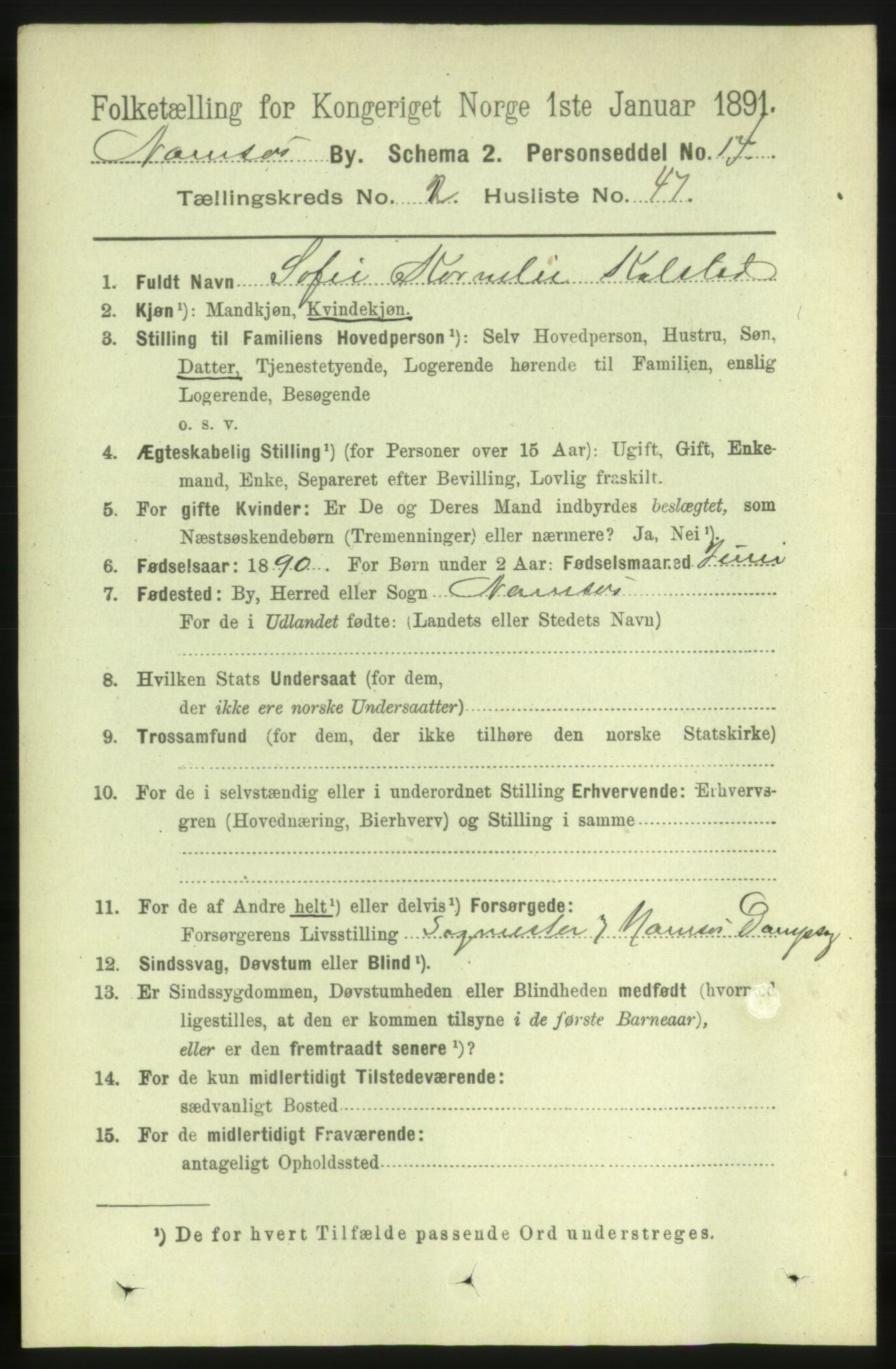 RA, 1891 census for 1703 Namsos, 1891, p. 1069