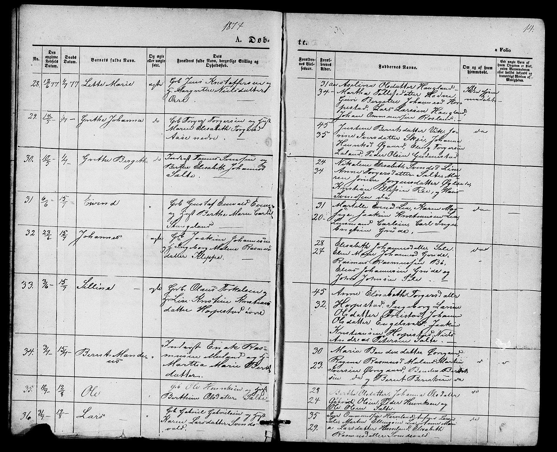 Klepp sokneprestkontor, AV/SAST-A-101803/001/3/30BB/L0003: Parish register (copy) no. B 3, 1876-1888, p. 14