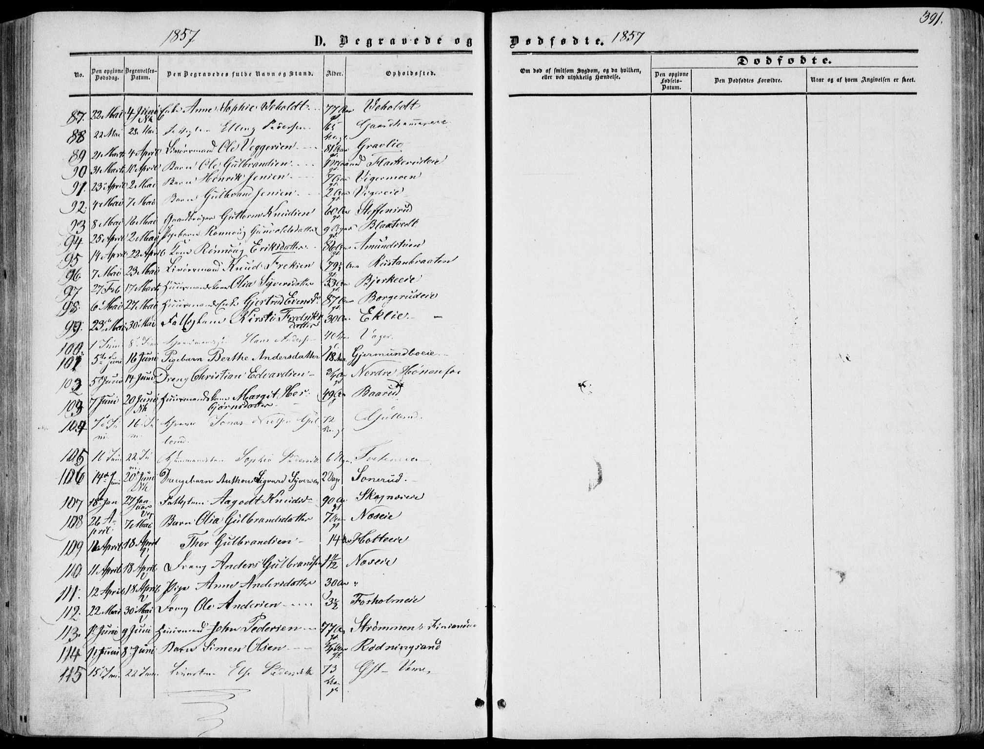 Norderhov kirkebøker, SAKO/A-237/F/Fa/L0012: Parish register (official) no. 12, 1856-1865, p. 391