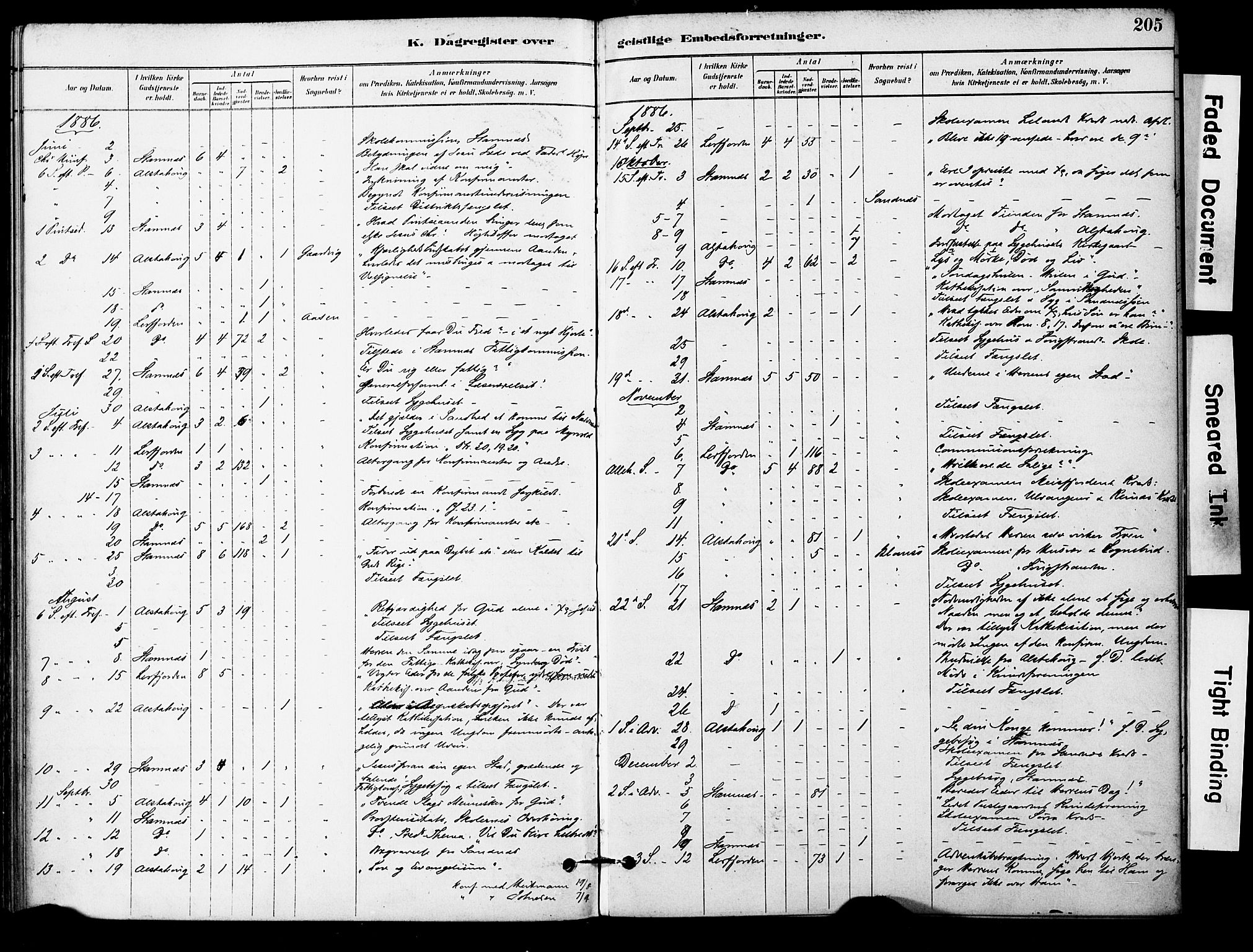 Ministerialprotokoller, klokkerbøker og fødselsregistre - Nordland, AV/SAT-A-1459/830/L0450: Parish register (official) no. 830A14, 1879-1896, p. 205