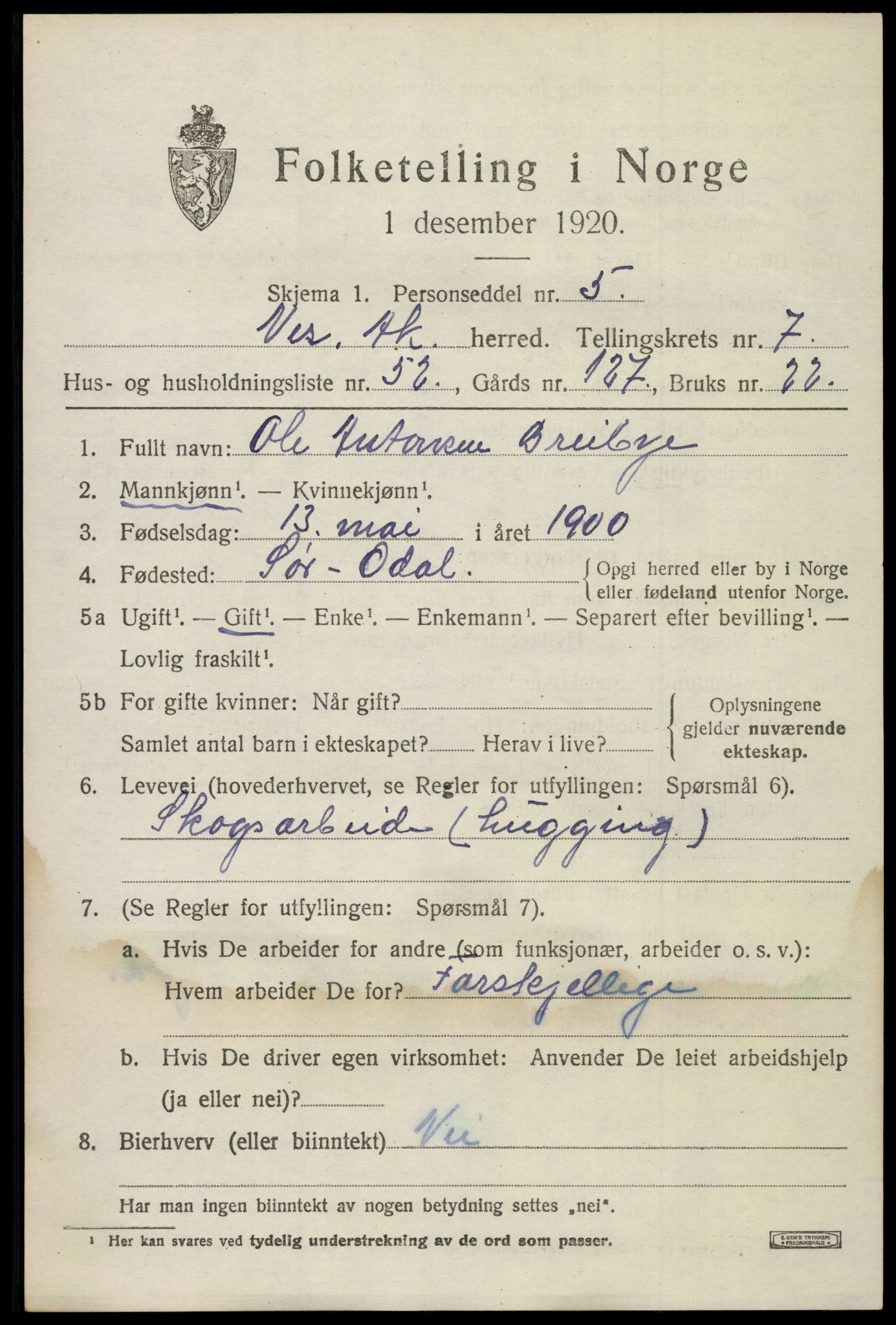 SAO, 1920 census for Nes, 1920, p. 8892