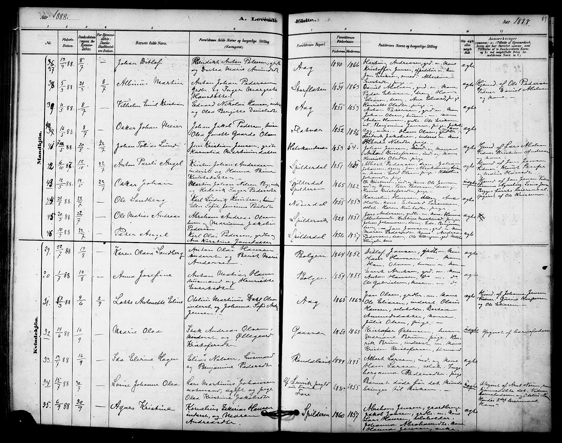 Ministerialprotokoller, klokkerbøker og fødselsregistre - Nordland, SAT/A-1459/843/L0626: Parish register (official) no. 843A01, 1878-1907, p. 89