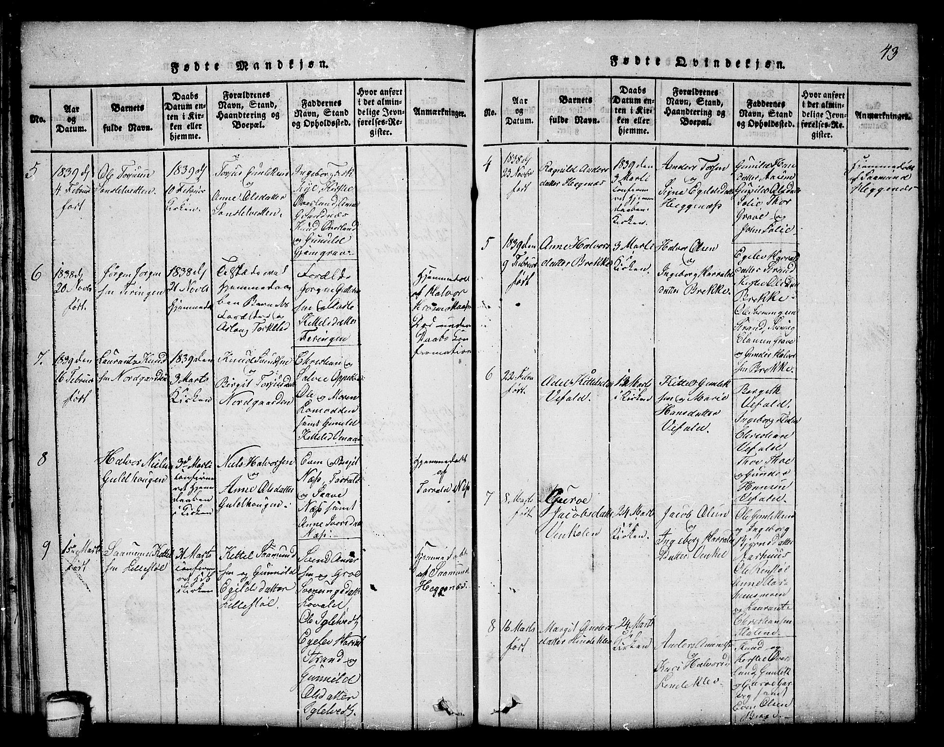 Seljord kirkebøker, SAKO/A-20/F/Fc/L0001: Parish register (official) no. III 1, 1815-1831, p. 43