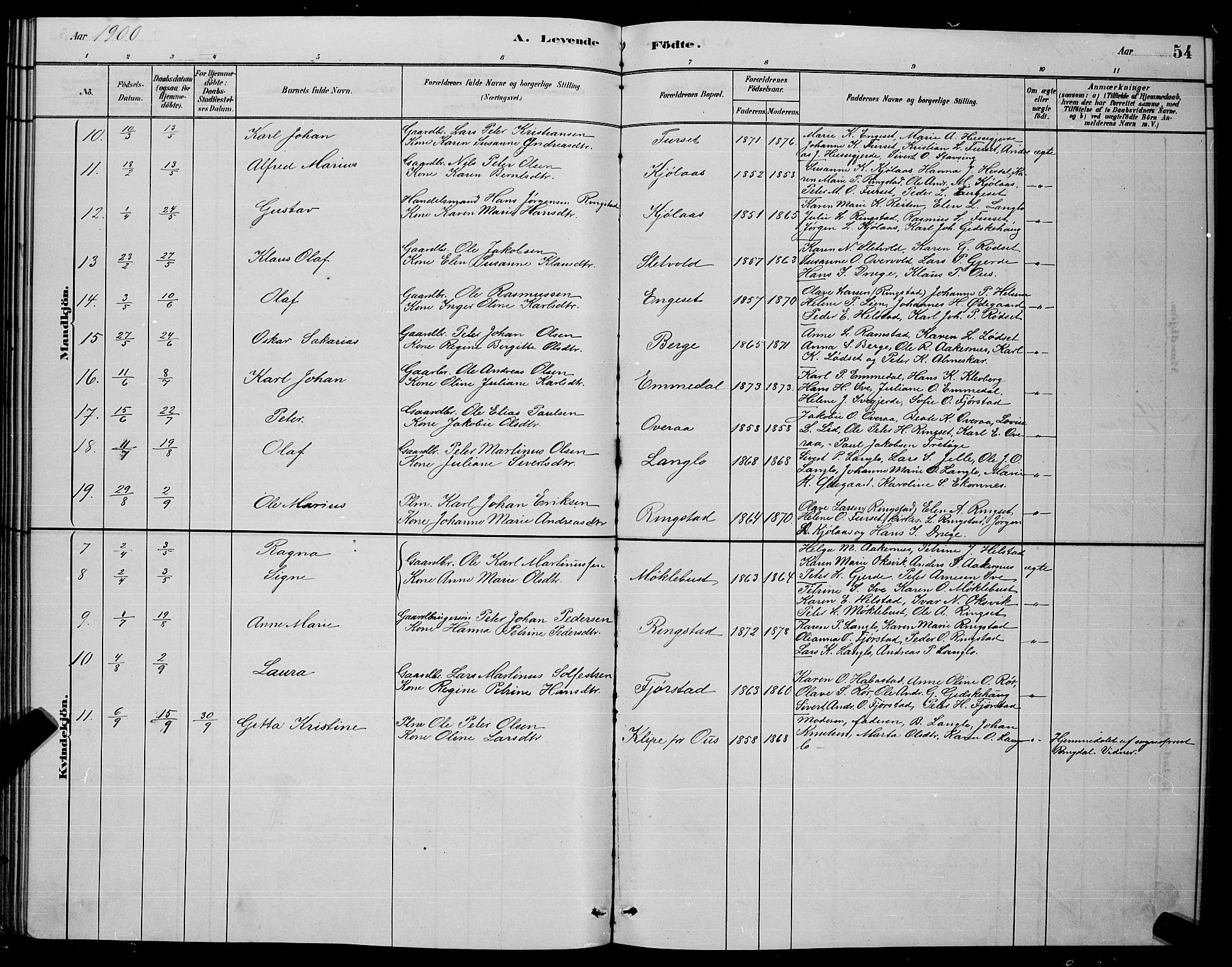 Ministerialprotokoller, klokkerbøker og fødselsregistre - Møre og Romsdal, AV/SAT-A-1454/520/L0292: Parish register (copy) no. 520C04, 1882-1901, p. 54