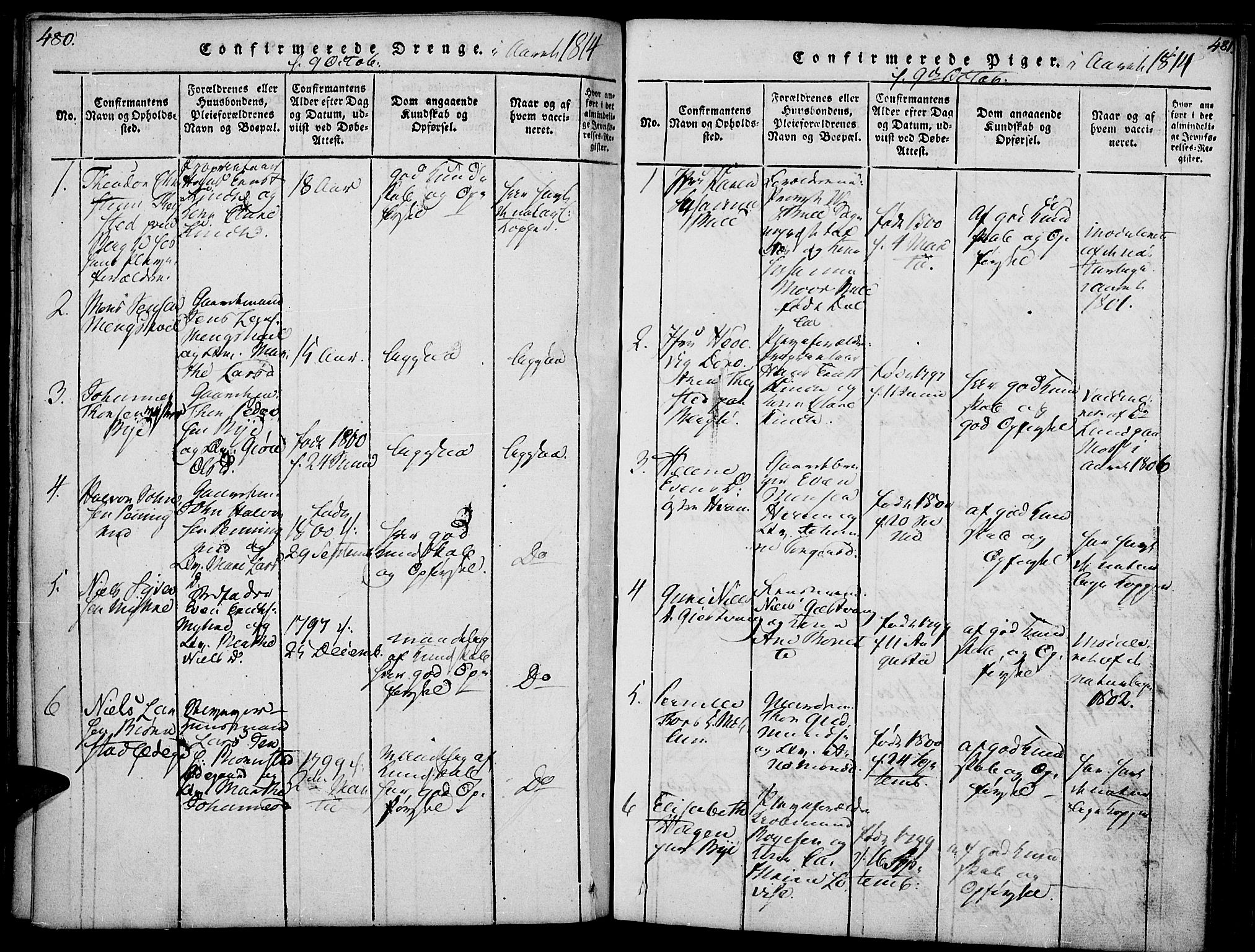 Nes prestekontor, Hedmark, SAH/PREST-020/K/Ka/L0002: Parish register (official) no. 2, 1813-1827, p. 480-481