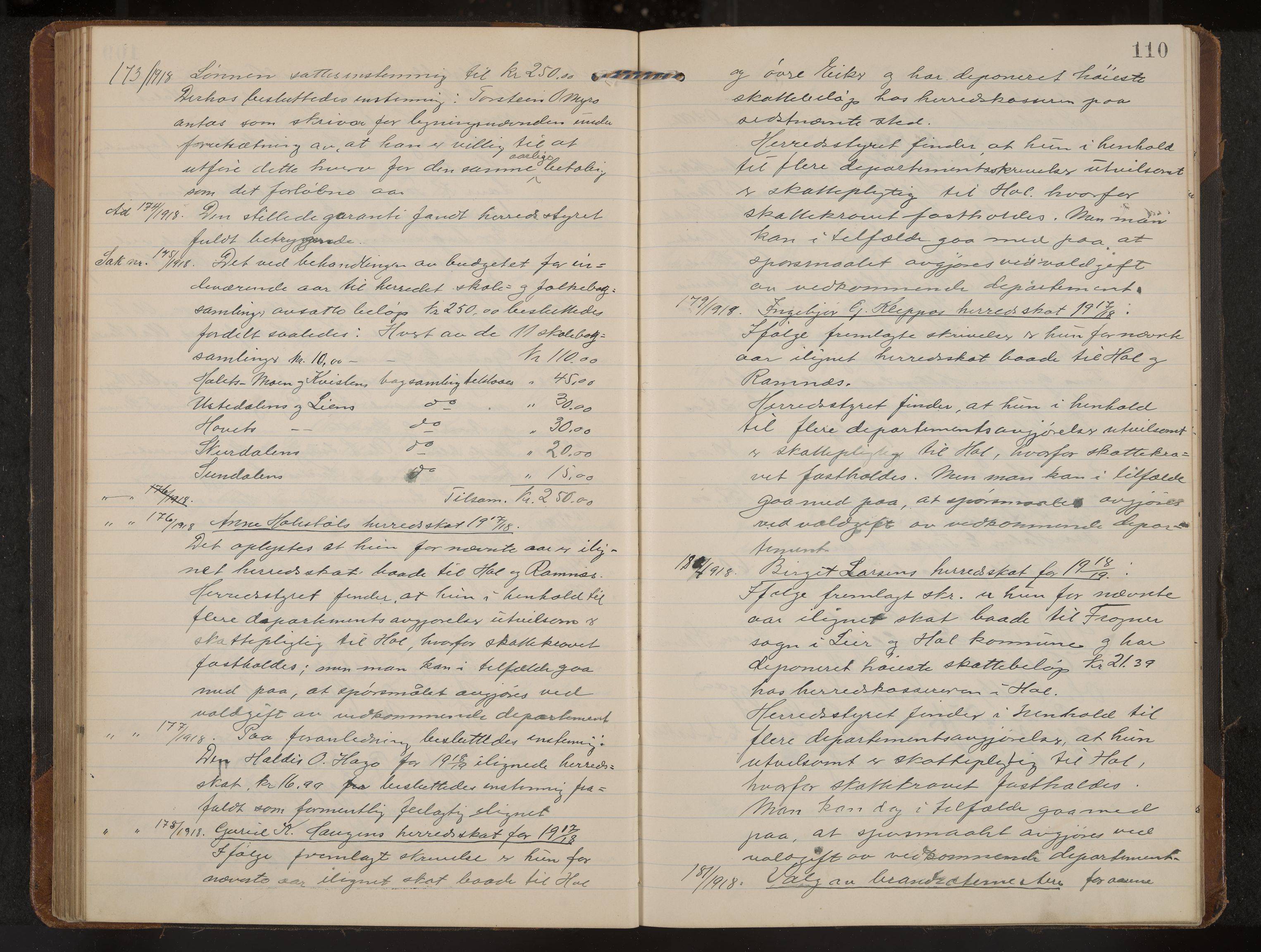 Hol formannskap og sentraladministrasjon, IKAK/0620021-1/A/L0006: Møtebok, 1916-1922, p. 110