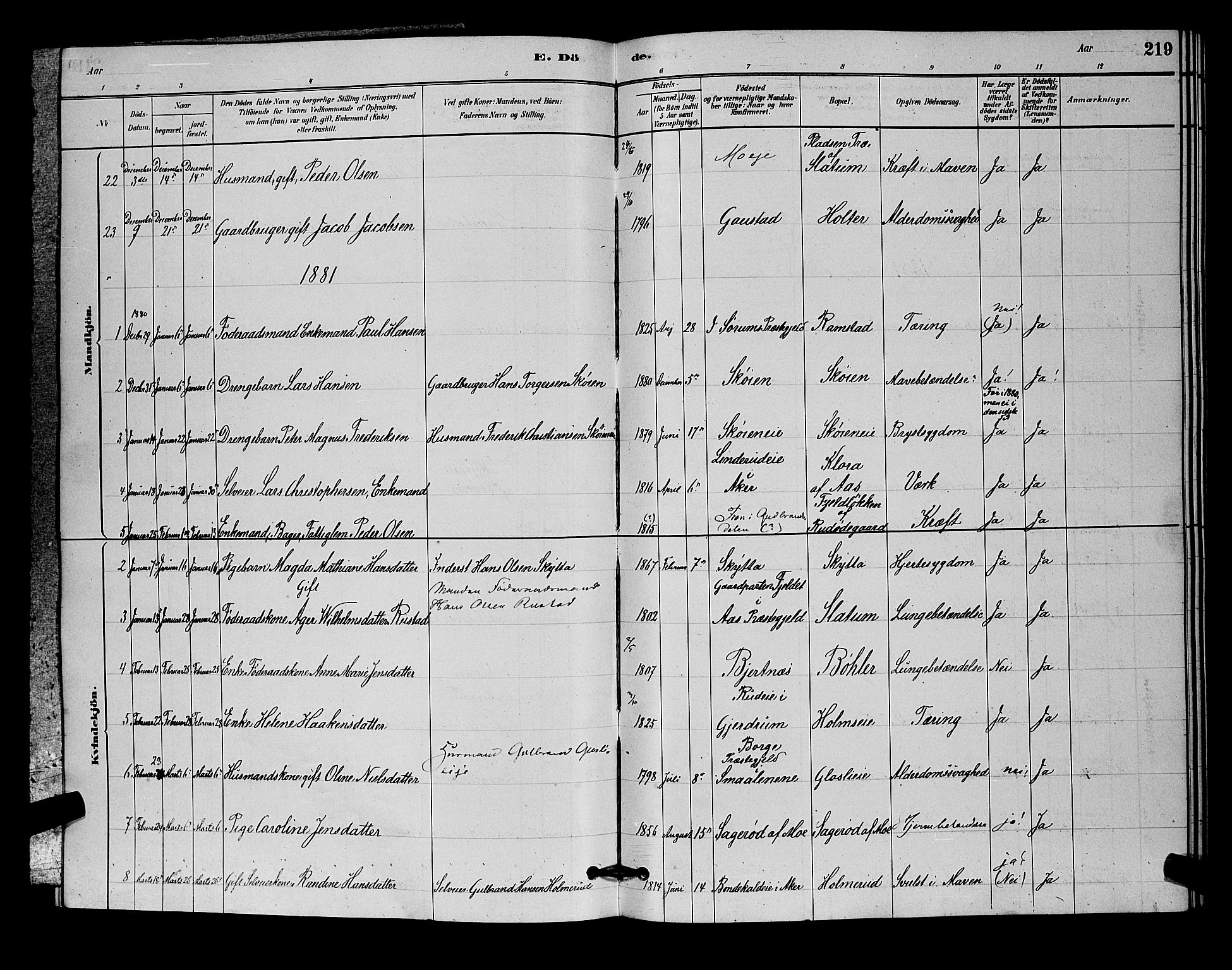 Nittedal prestekontor Kirkebøker, SAO/A-10365a/G/Ga/L0002: Parish register (copy) no. I 2, 1879-1901, p. 219