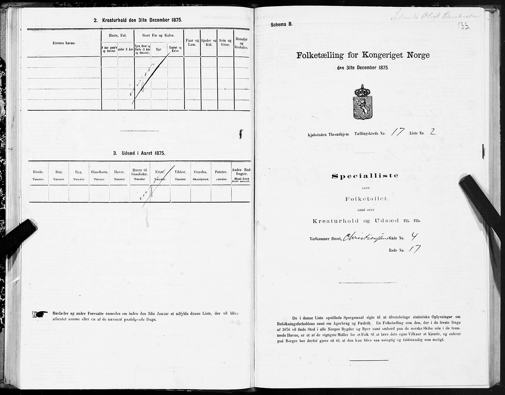 SAT, 1875 census for 1601 Trondheim, 1875, p. 9133