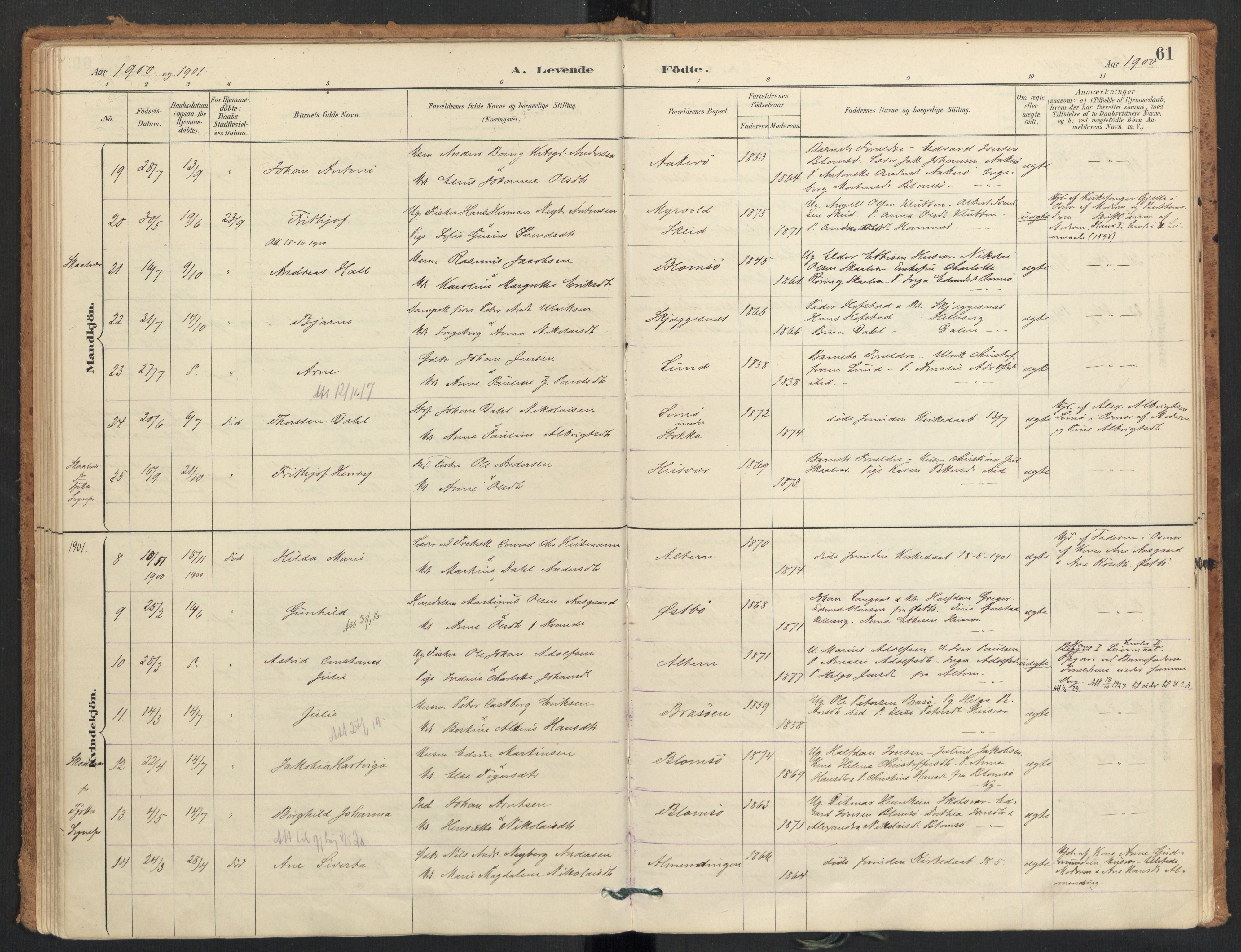 Ministerialprotokoller, klokkerbøker og fødselsregistre - Nordland, AV/SAT-A-1459/830/L0453: Parish register (official) no. 830A17, 1886-1911, p. 61