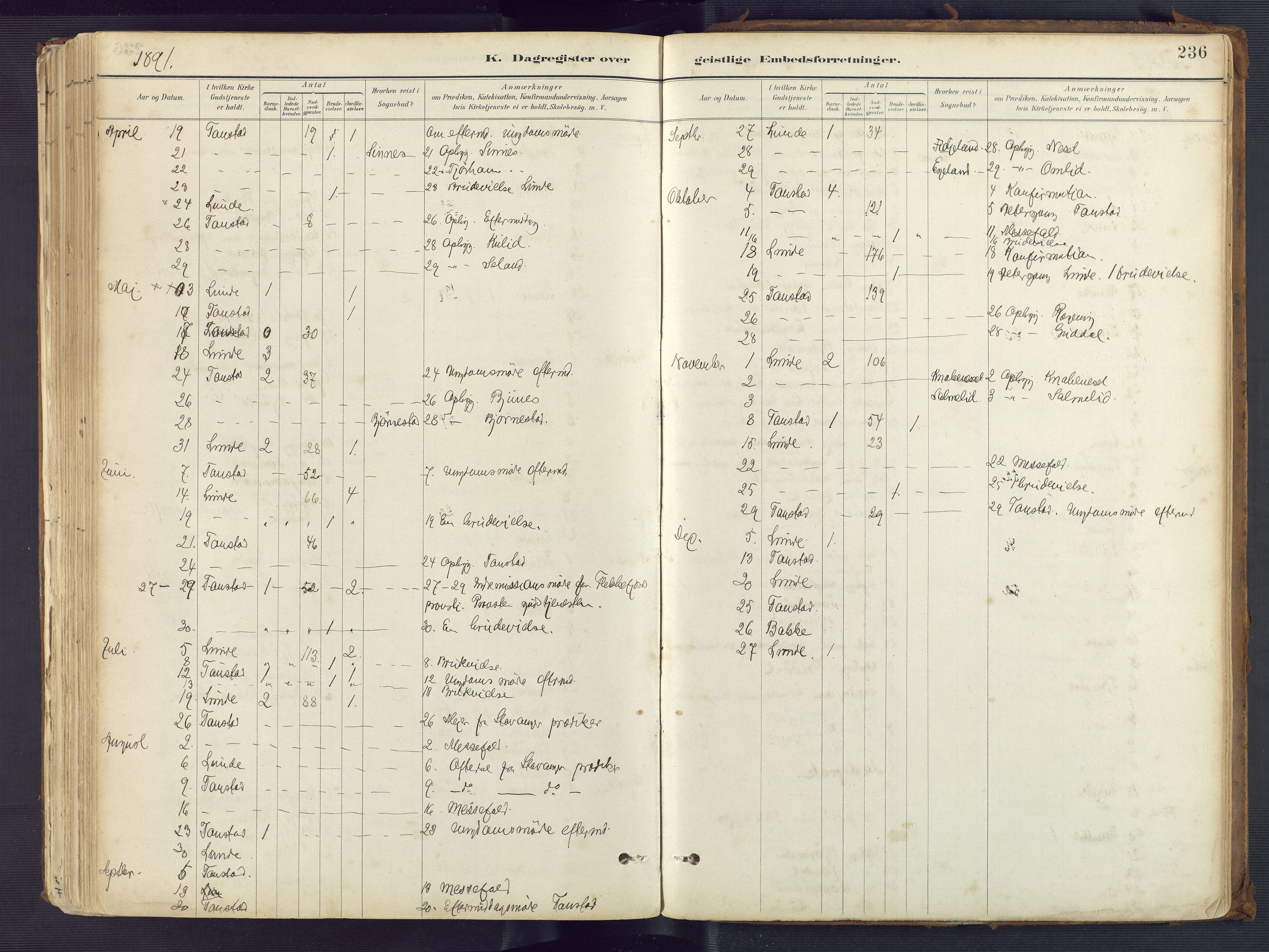 Sirdal sokneprestkontor, AV/SAK-1111-0036/F/Fa/Fab/L0004: Parish register (official) no. A 4, 1887-1919, p. 236