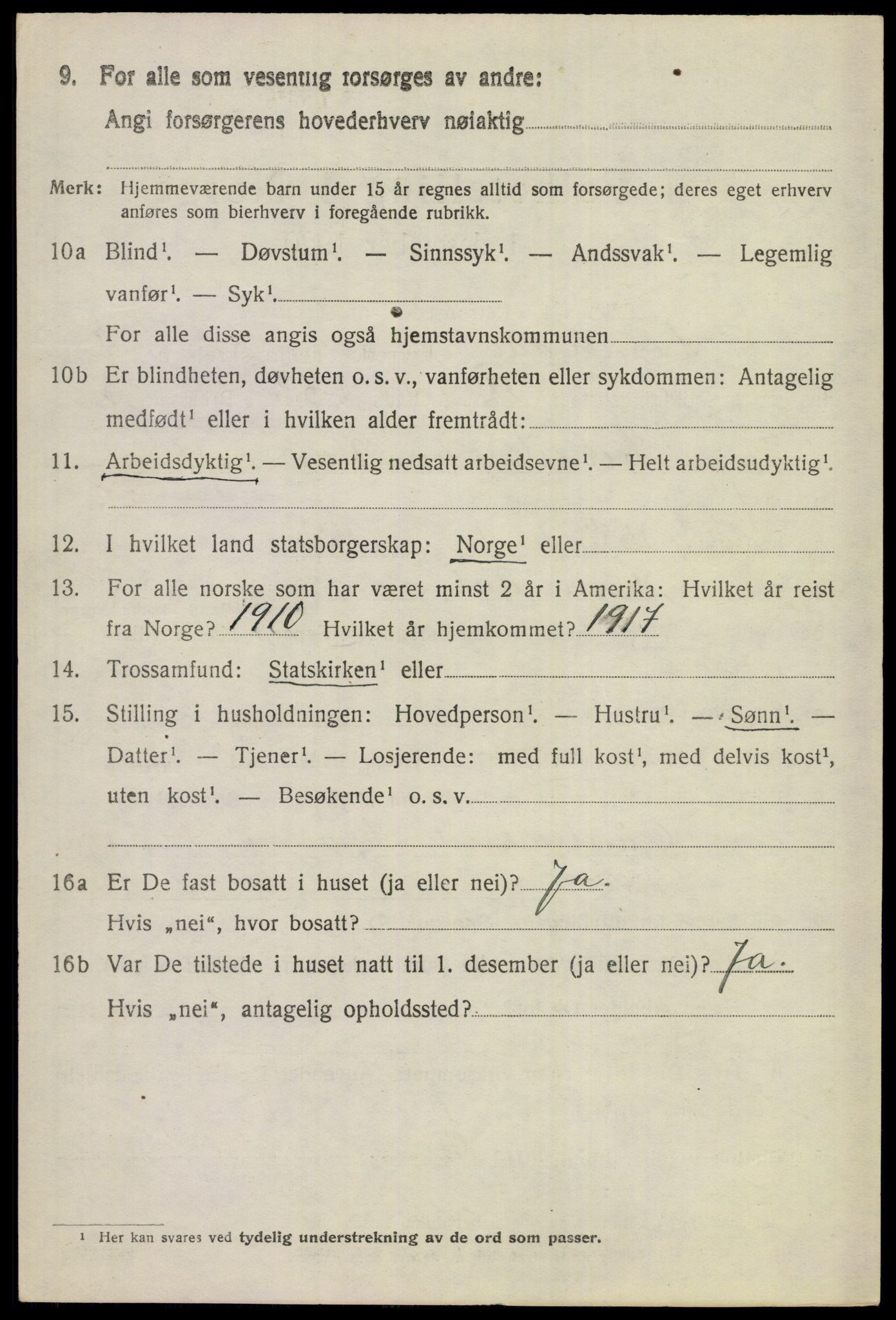 SAKO, 1920 census for Hemsedal, 1920, p. 983