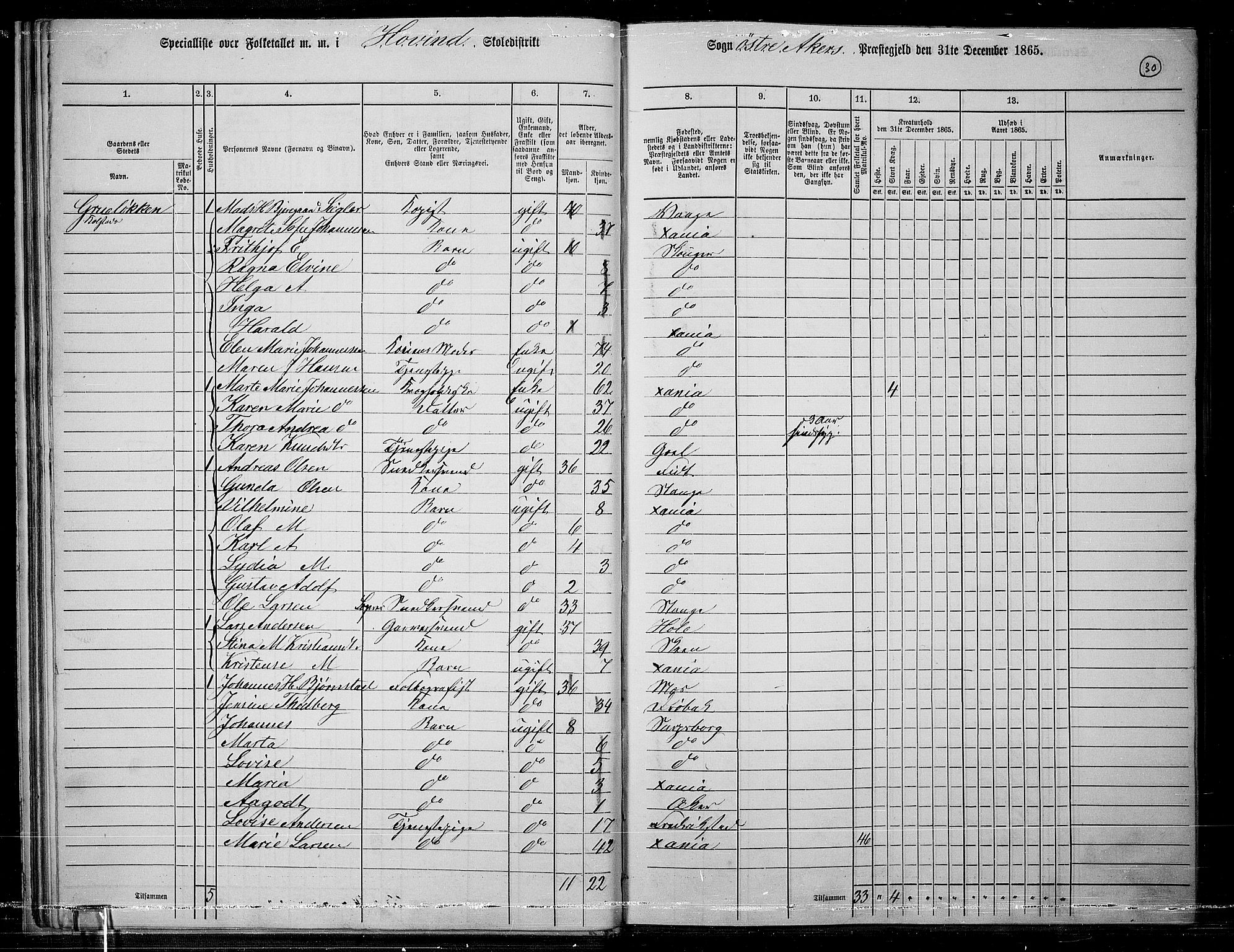 RA, 1865 census for Østre Aker, 1865, p. 254