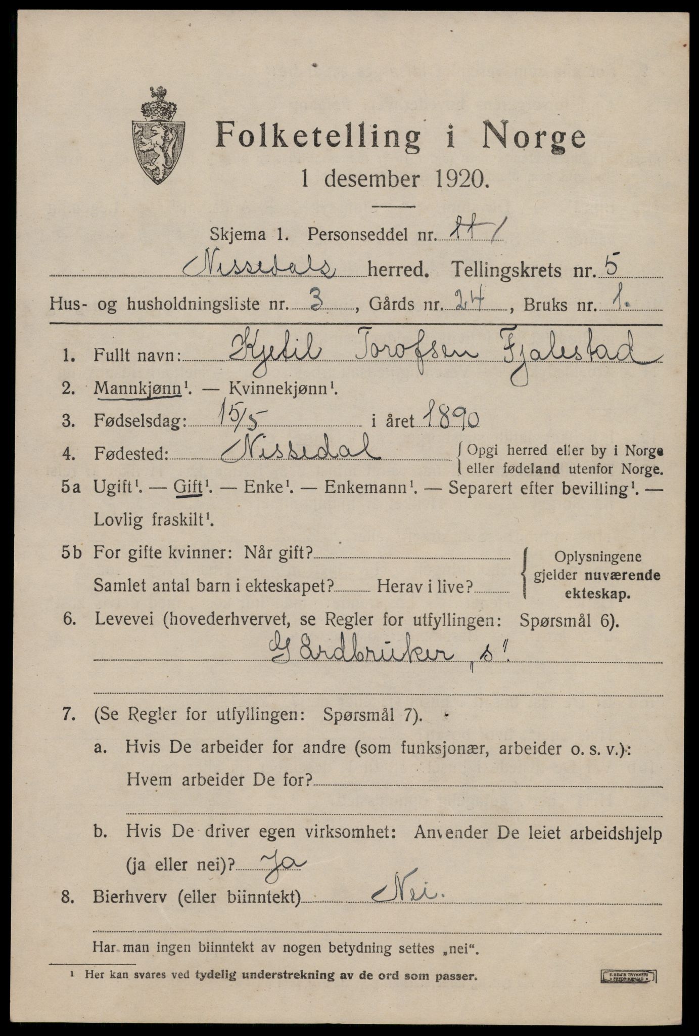 SAKO, 1920 census for Nissedal, 1920, p. 2051