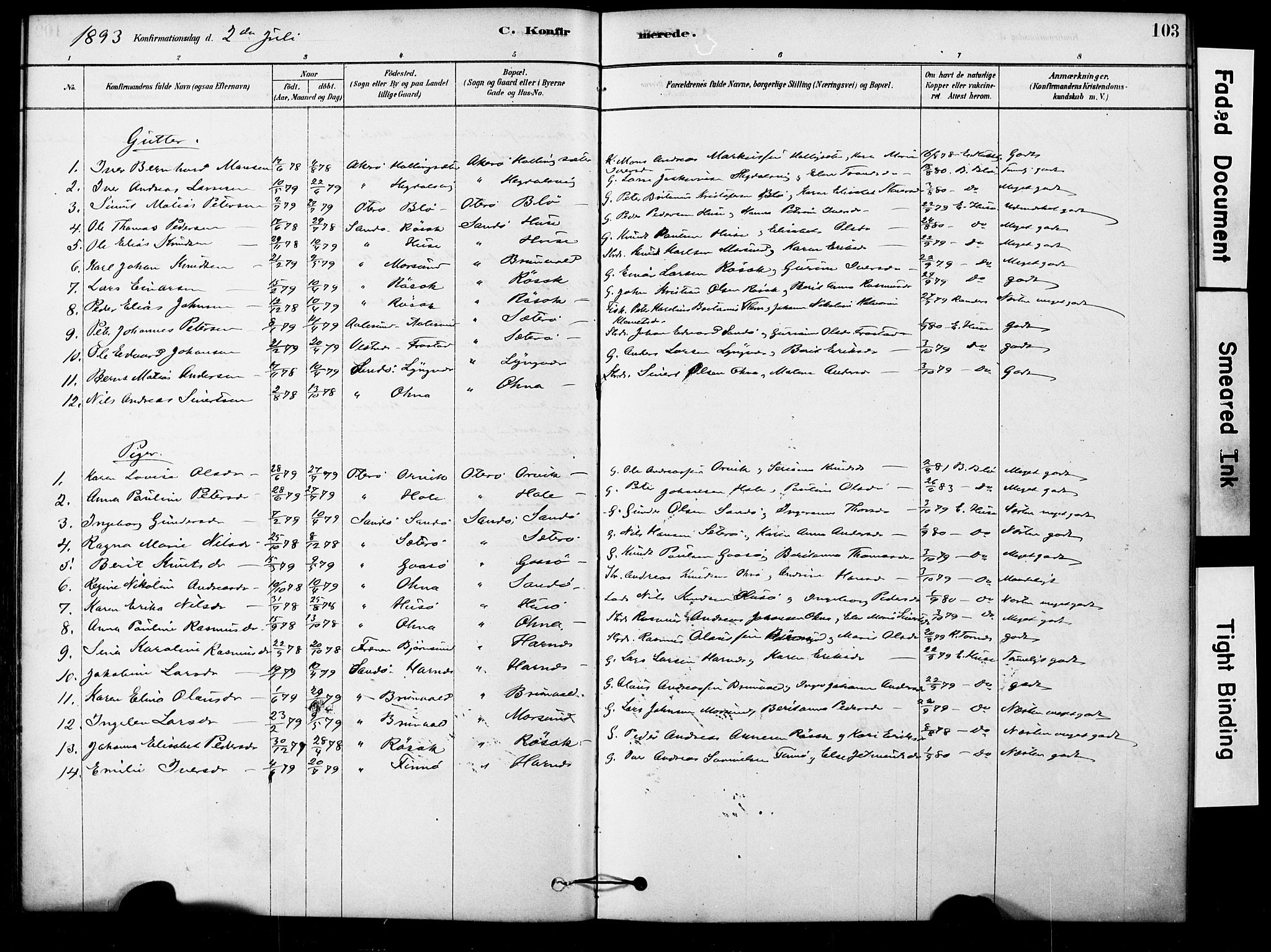 Ministerialprotokoller, klokkerbøker og fødselsregistre - Møre og Romsdal, AV/SAT-A-1454/561/L0729: Parish register (official) no. 561A03, 1878-1900, p. 103