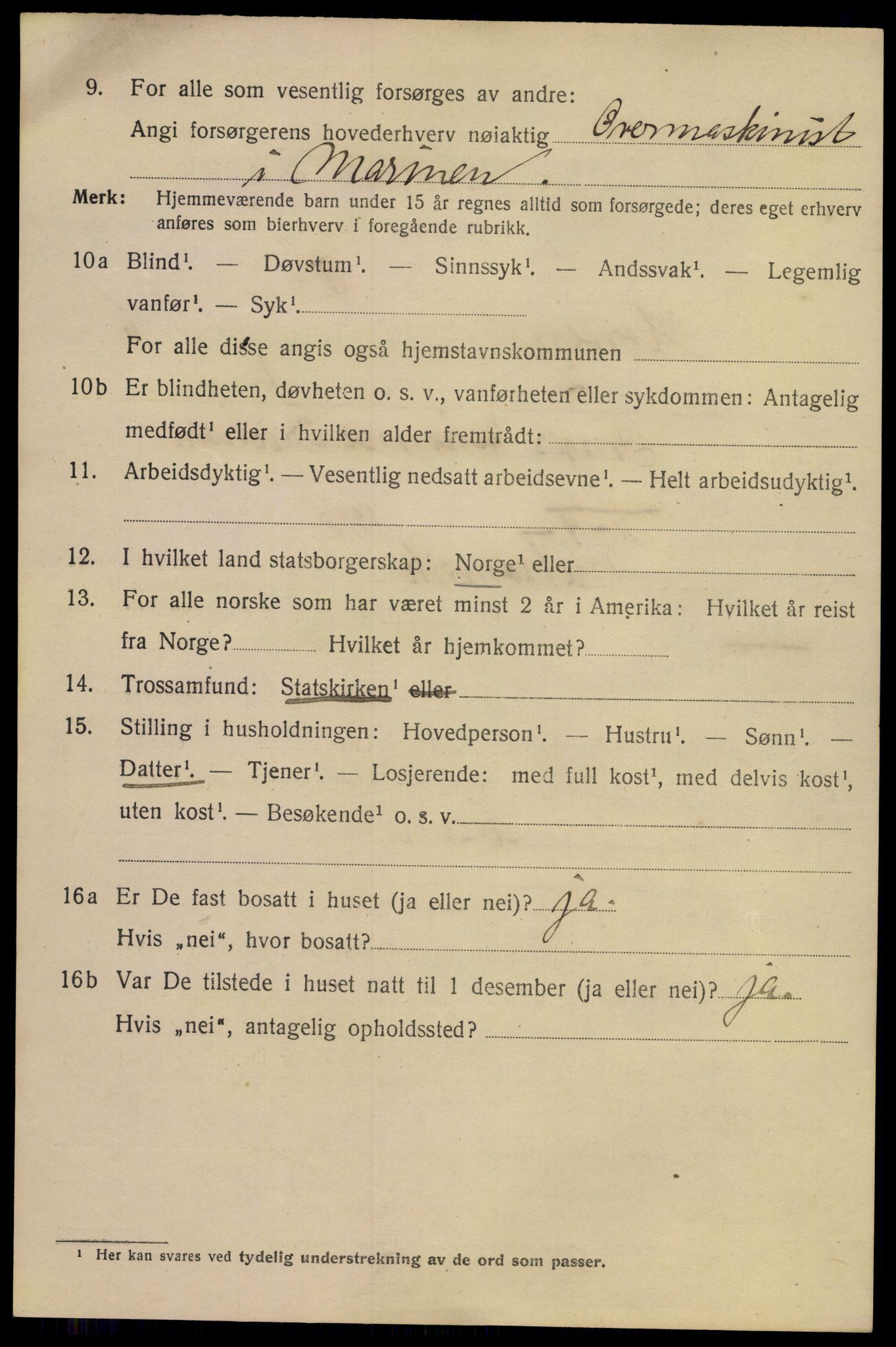 SAKO, 1920 census for Horten, 1920, p. 22288