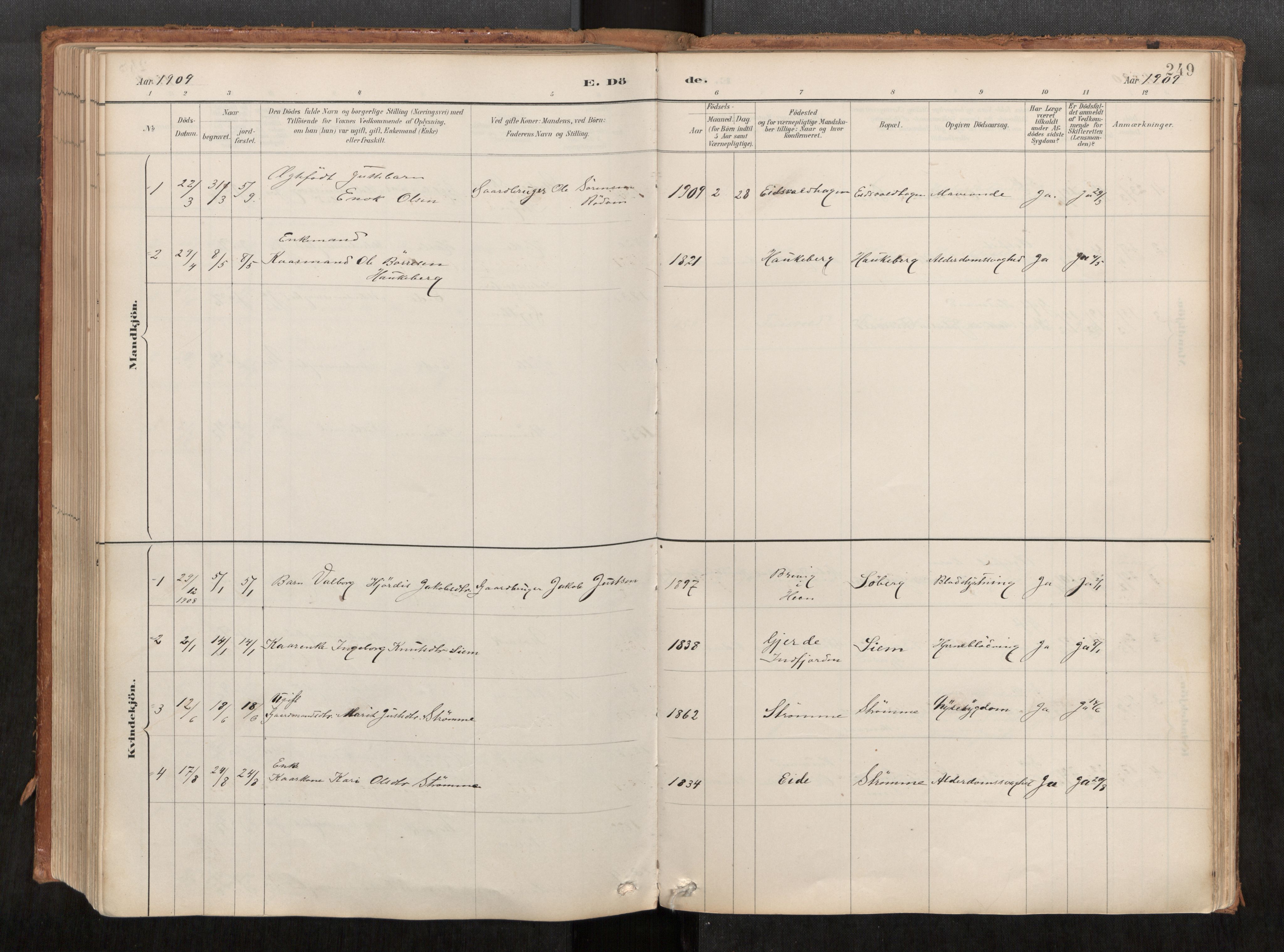 Ministerialprotokoller, klokkerbøker og fødselsregistre - Møre og Romsdal, SAT/A-1454/542/L0553: Parish register (official) no. 542A03, 1885-1925, p. 249