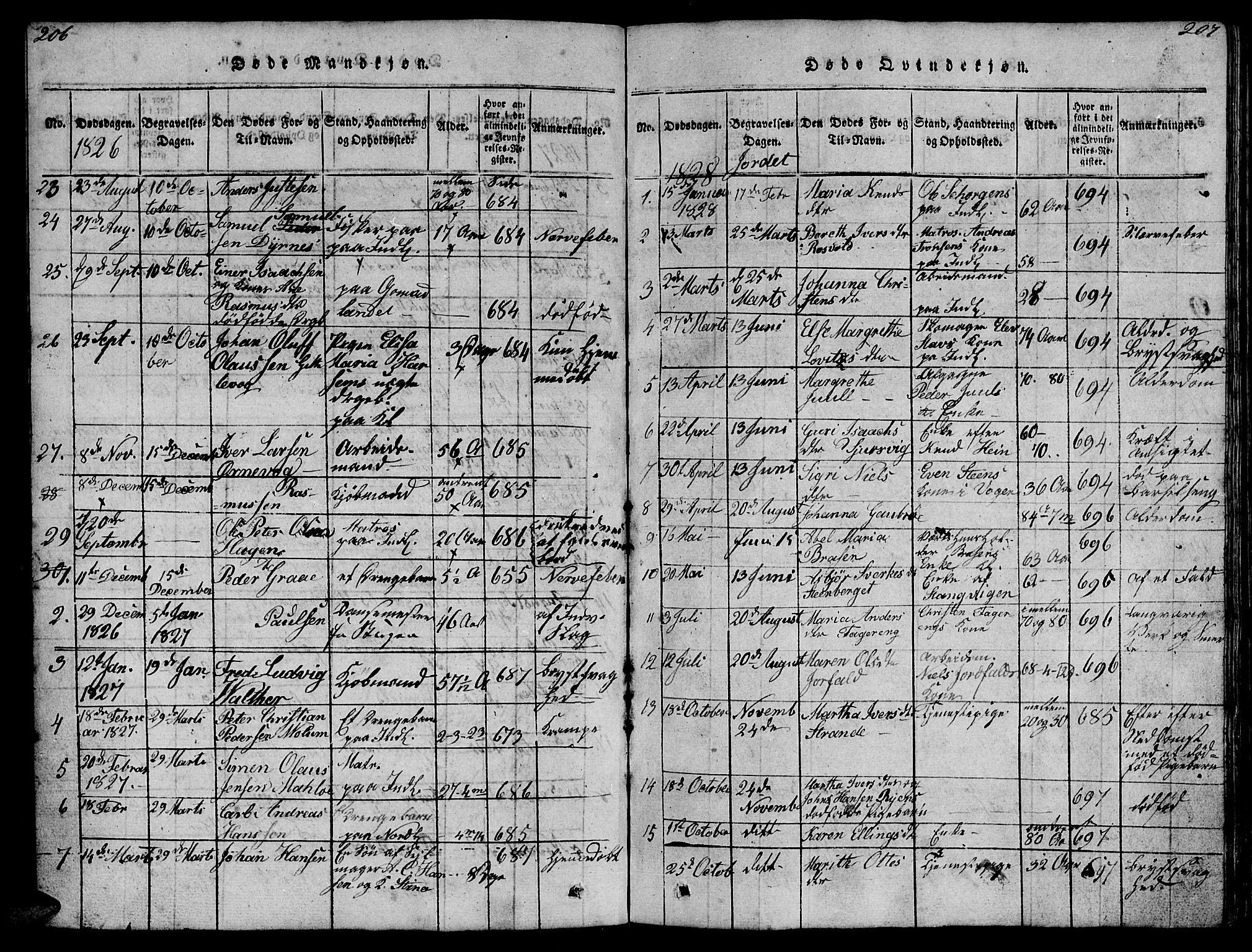 Ministerialprotokoller, klokkerbøker og fødselsregistre - Møre og Romsdal, SAT/A-1454/572/L0856: Parish register (copy) no. 572C01, 1819-1832, p. 206-207