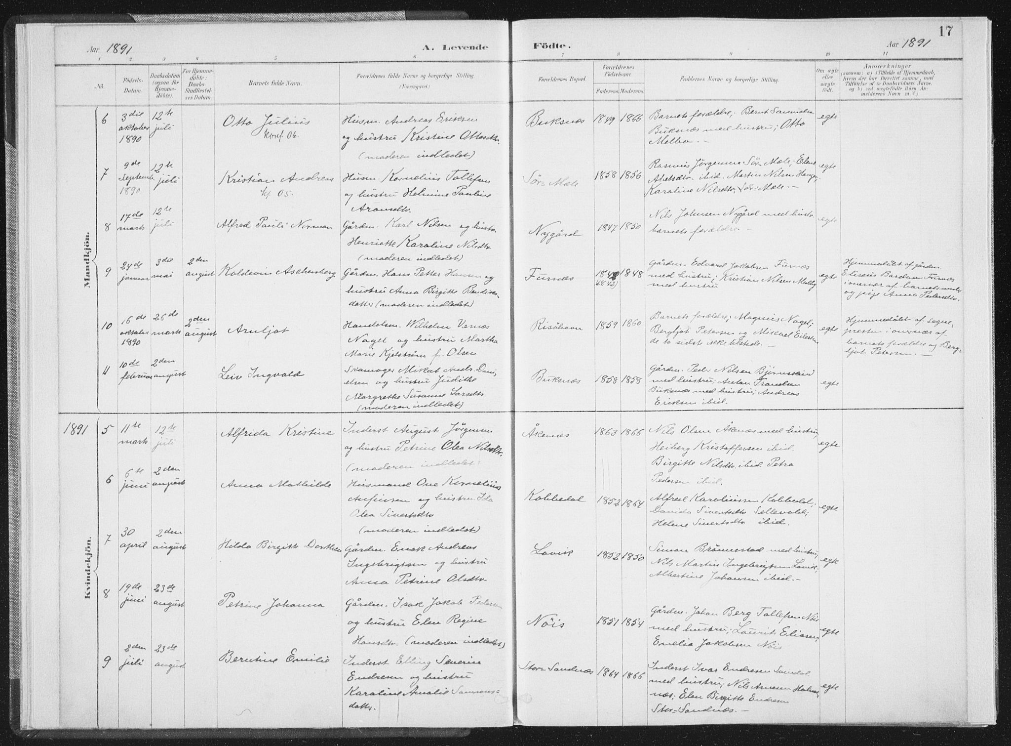 Ministerialprotokoller, klokkerbøker og fødselsregistre - Nordland, AV/SAT-A-1459/898/L1422: Parish register (official) no. 898A02, 1887-1908, p. 17