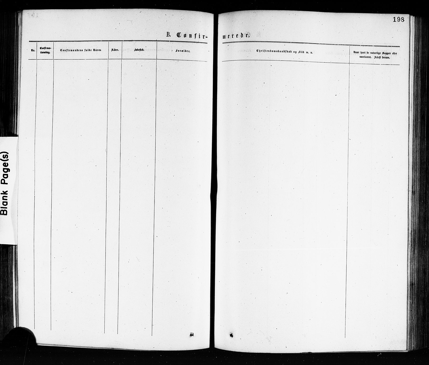 Porsgrunn kirkebøker , SAKO/A-104/G/Ga/L0003: Parish register (copy) no. I 3, 1877-1915, p. 198