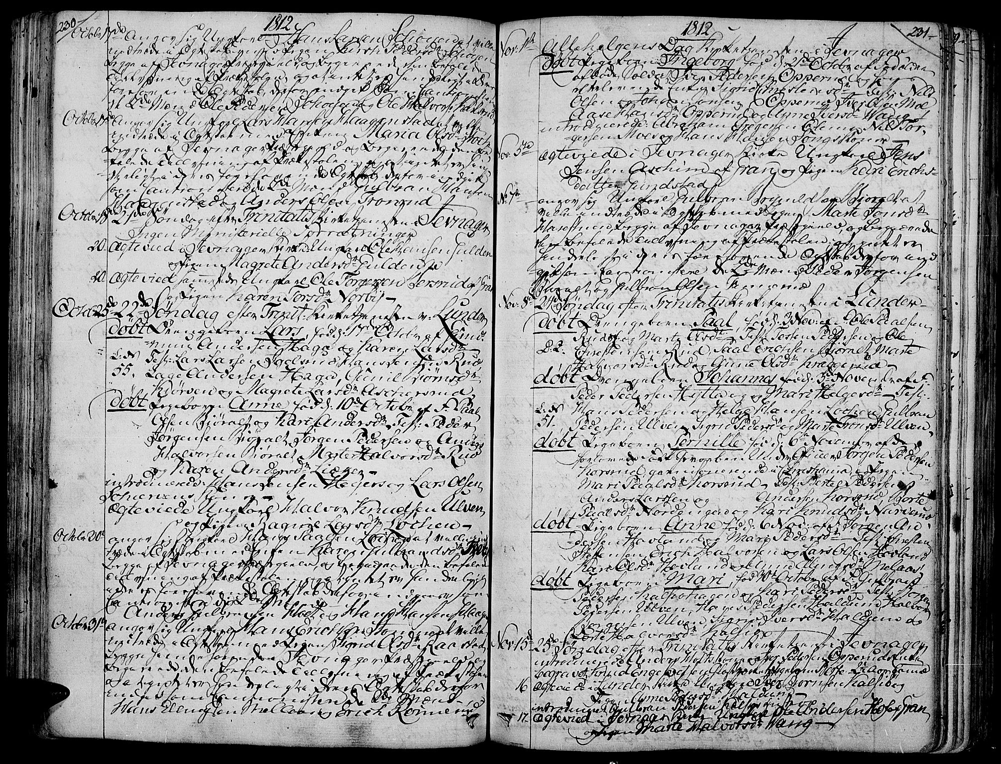 Jevnaker prestekontor, SAH/PREST-116/H/Ha/Haa/L0004: Parish register (official) no. 4, 1800-1861, p. 230-231