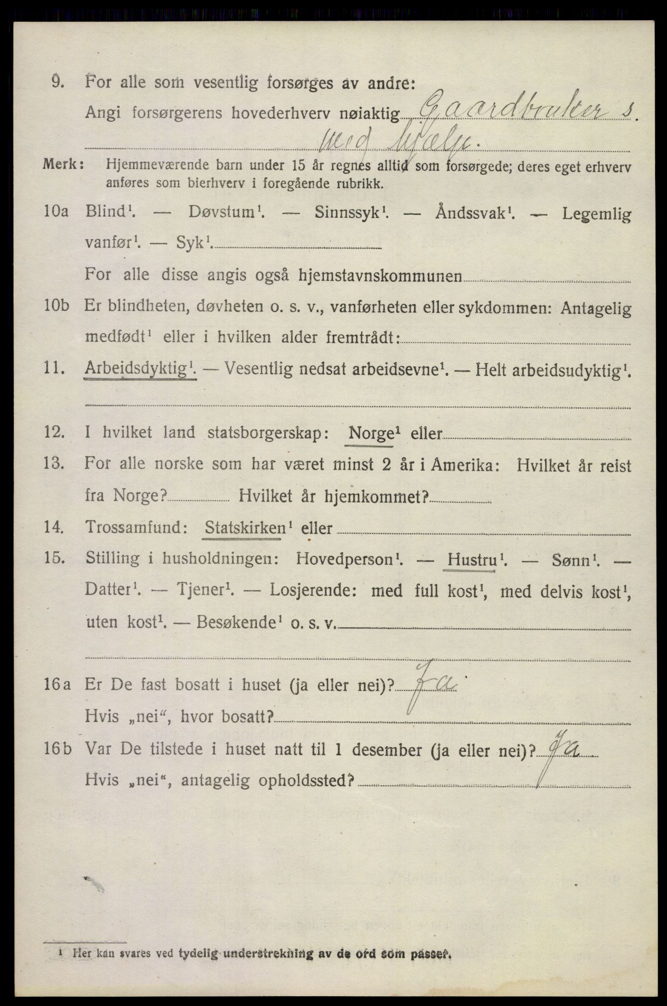 SAKO, 1920 census for Våle, 1920, p. 1103