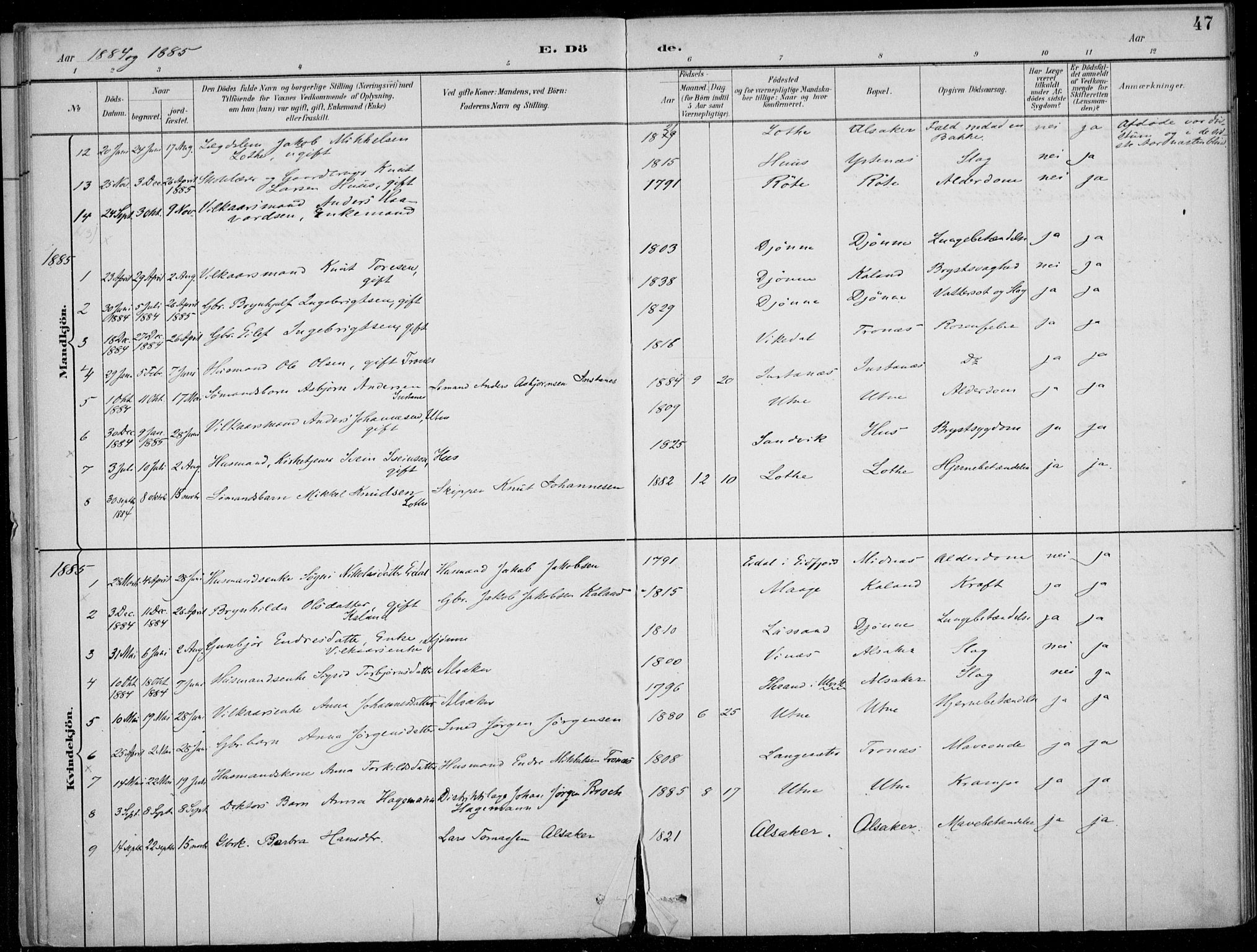 Ullensvang sokneprestembete, SAB/A-78701/H/Haa: Parish register (official) no. E  3, 1883-1916, p. 47