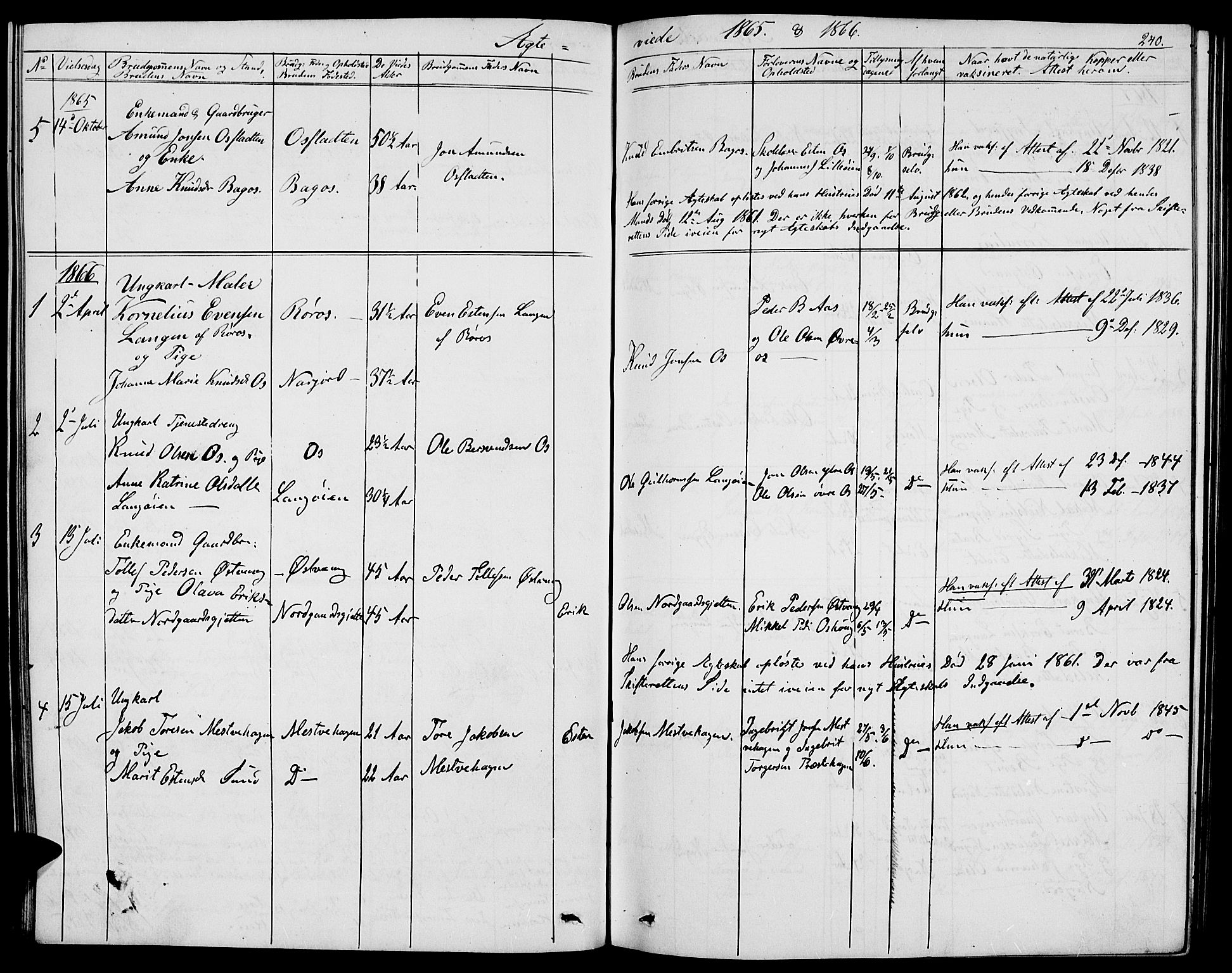 Tolga prestekontor, AV/SAH-PREST-062/L/L0004: Parish register (copy) no. 4, 1845-1887, p. 240