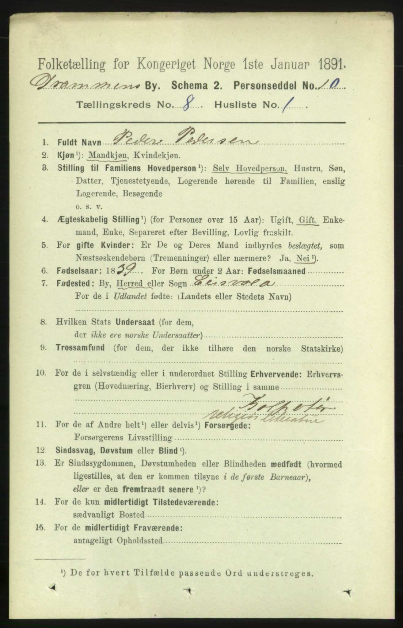 RA, 1891 census for 0602 Drammen, 1891, p. 6782