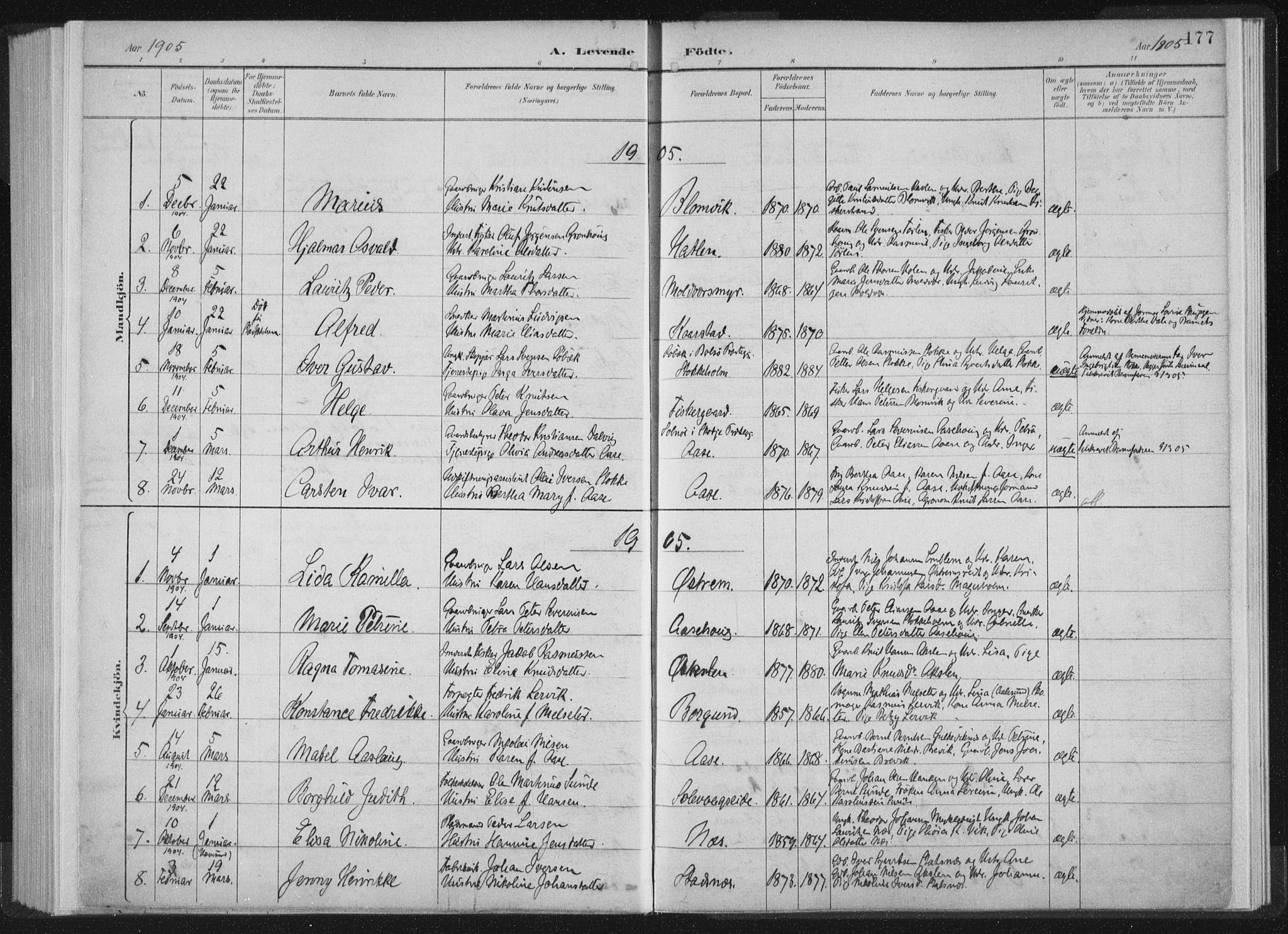 Ministerialprotokoller, klokkerbøker og fødselsregistre - Møre og Romsdal, AV/SAT-A-1454/528/L0405: Parish register (official) no. 528A14, 1891-1906, p. 177