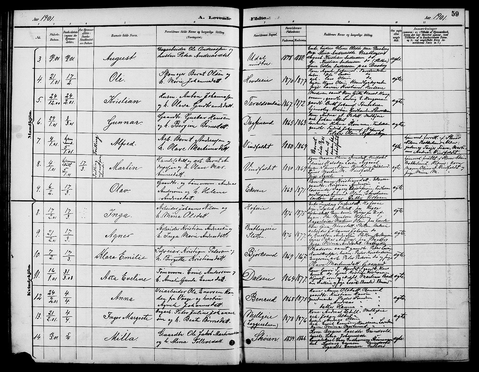 Biri prestekontor, SAH/PREST-096/H/Ha/Hab/L0004: Parish register (copy) no. 4, 1892-1909, p. 59