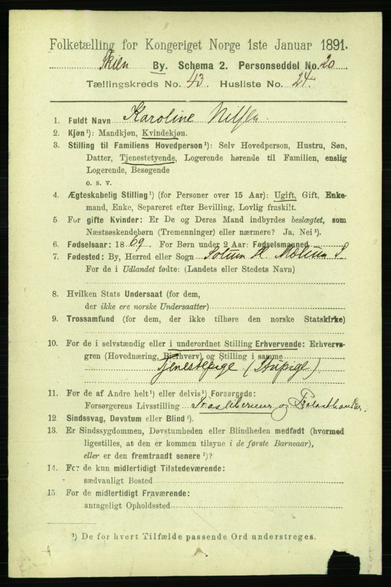 RA, 1891 census for 0806 Skien, 1891, p. 8766